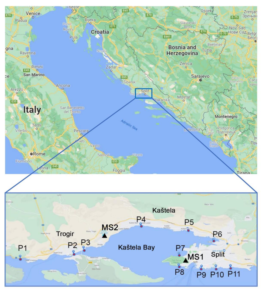 Water 14 00527 g001 550