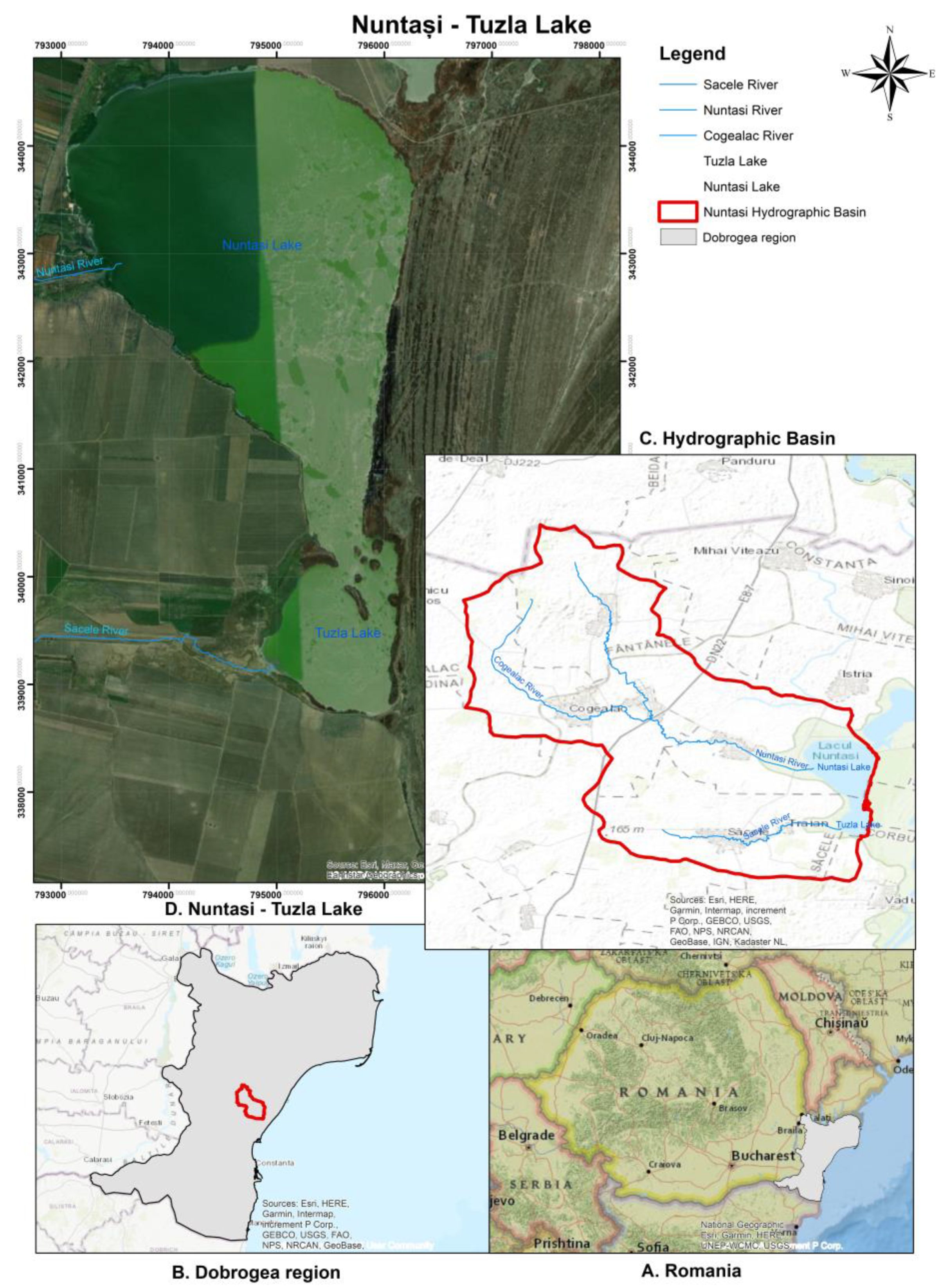 Water 14 00556 g001 550