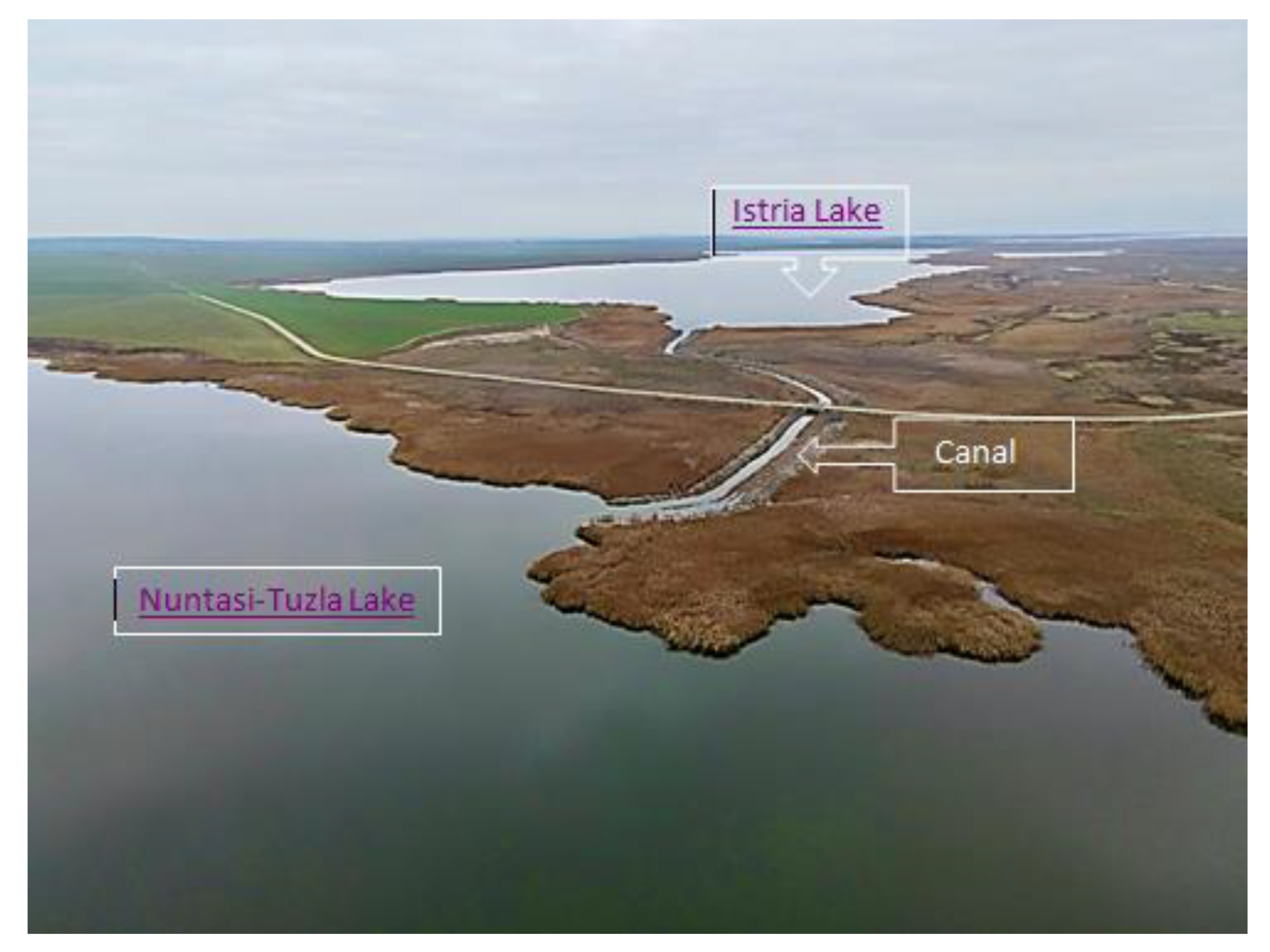 Water 14 00556 g013 550