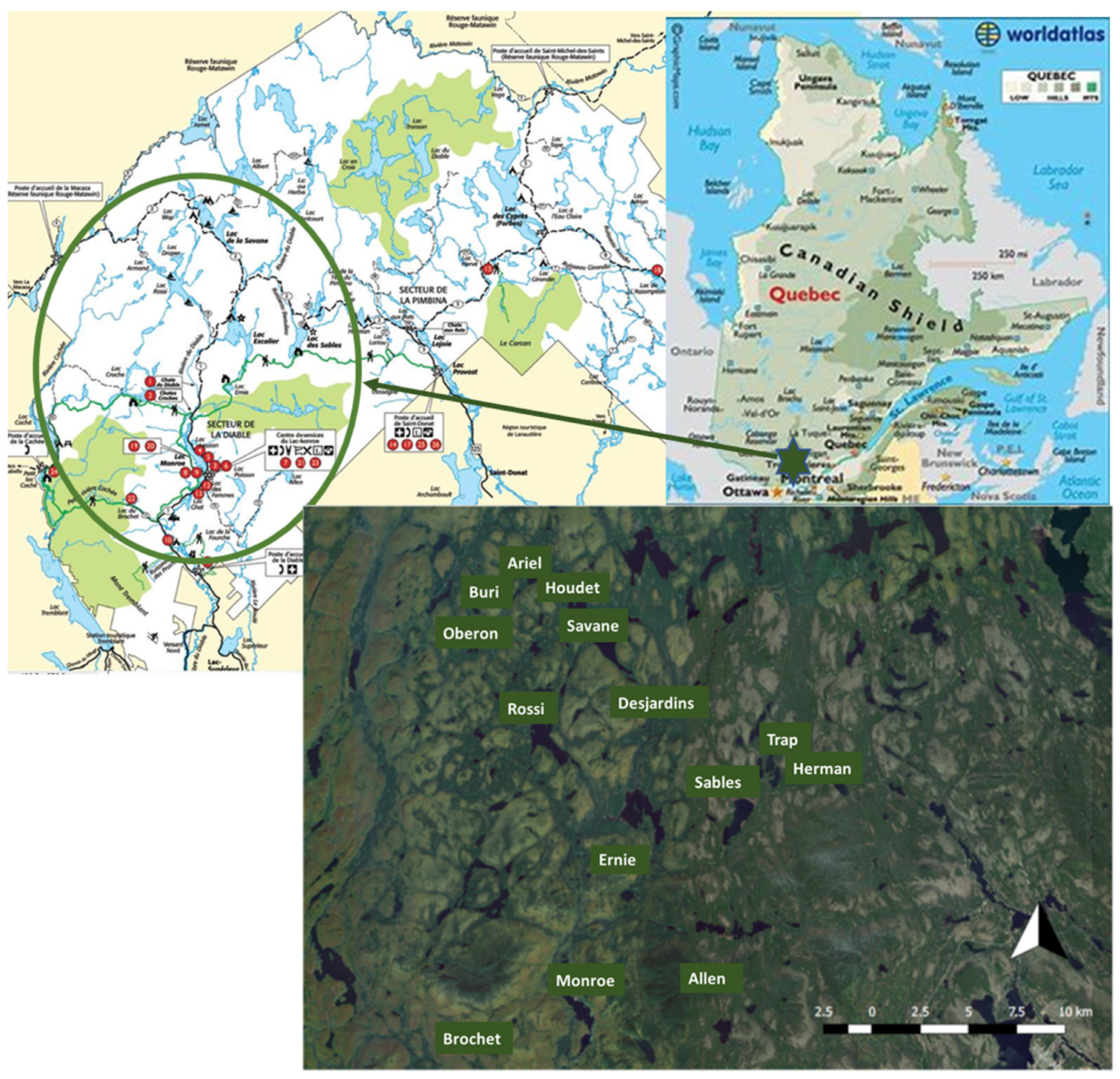 Water 14 00578 g001 Water 14 00578 g001