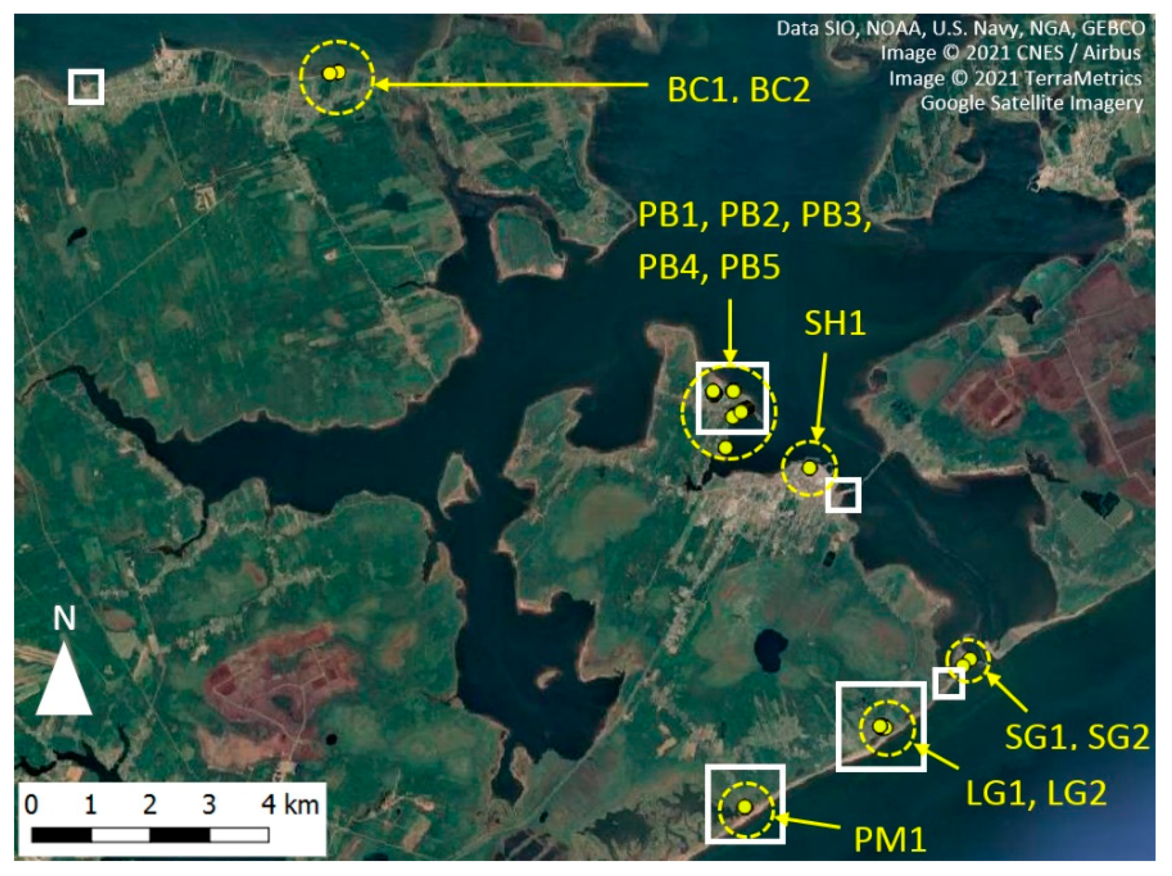 Water 14 00589 g002 550