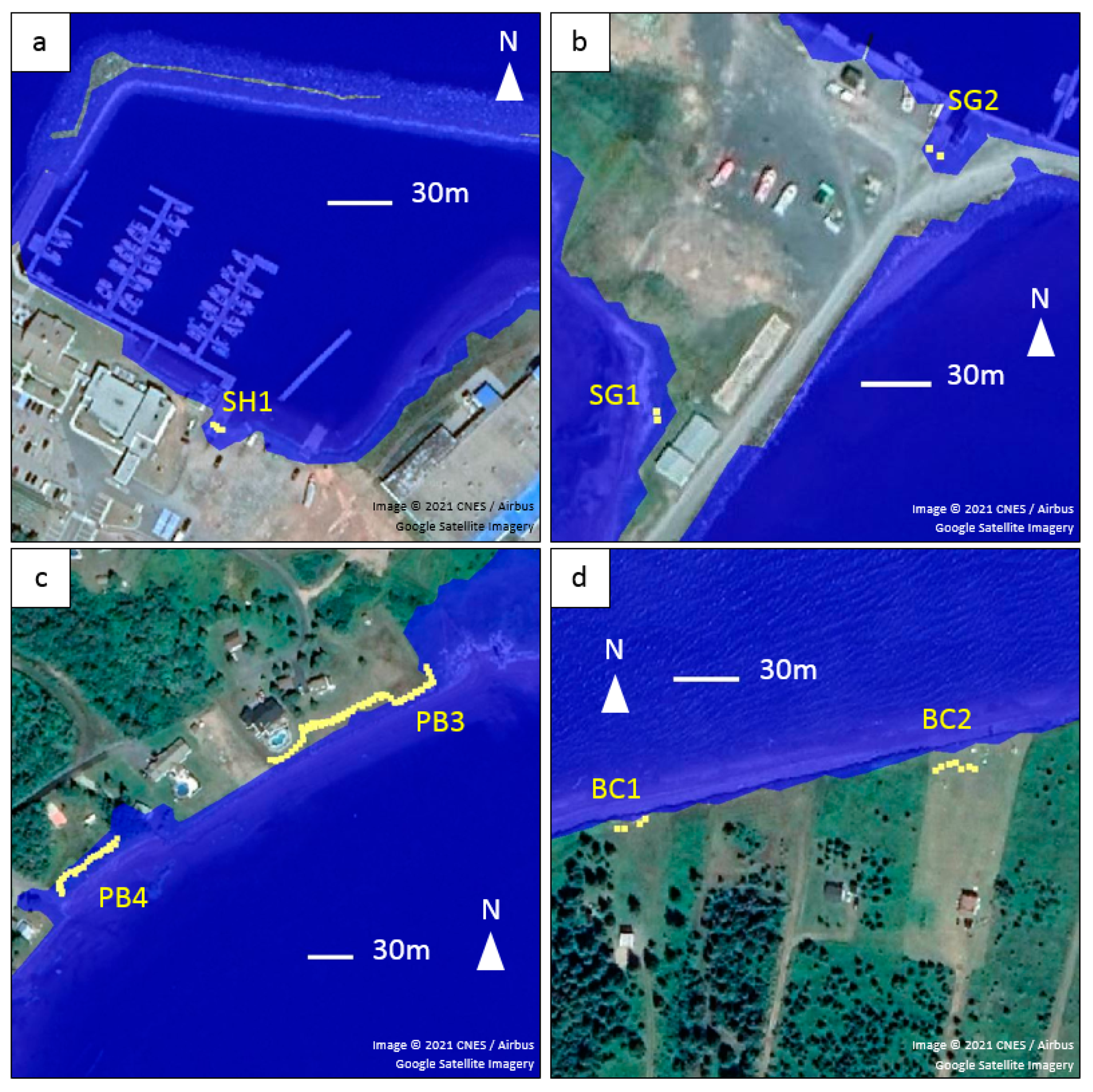 Water 14 00589 g003 550