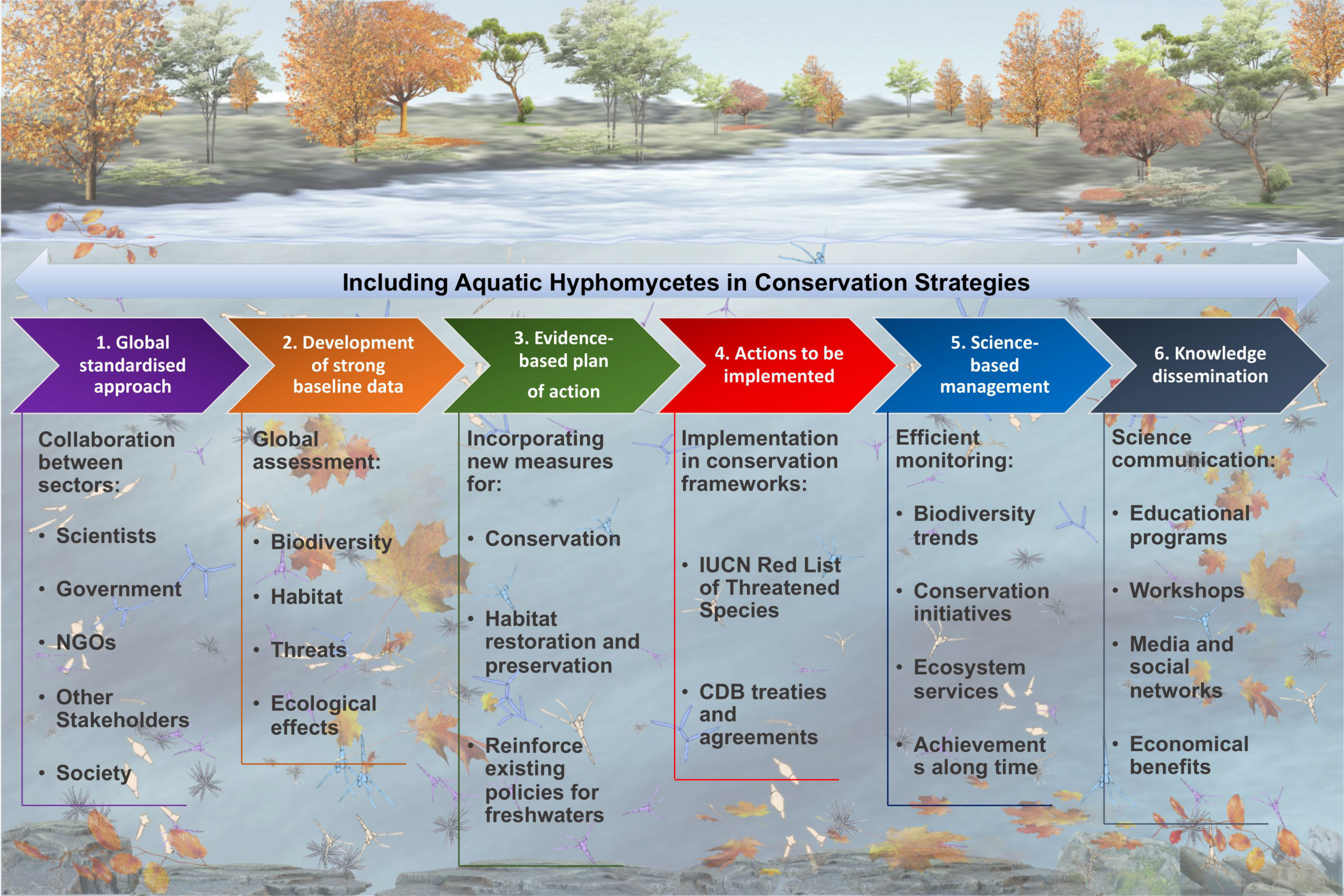 ☆The Ecology of Aquatic Hyphomycetes [水生不完全糸状菌の