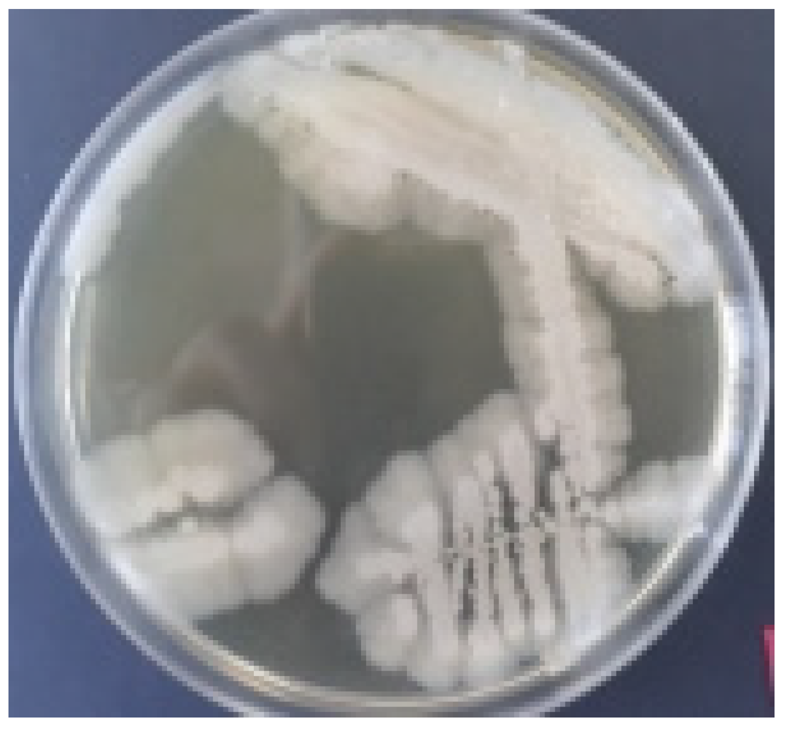 Water 14 00607 g003 Water 14 00607 g003