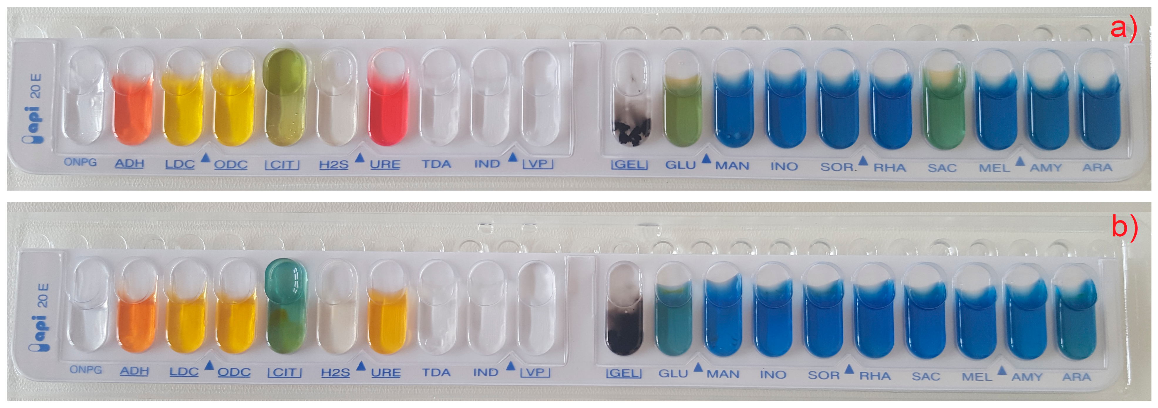 Water 14 00607 g004 Water 14 00607 g004