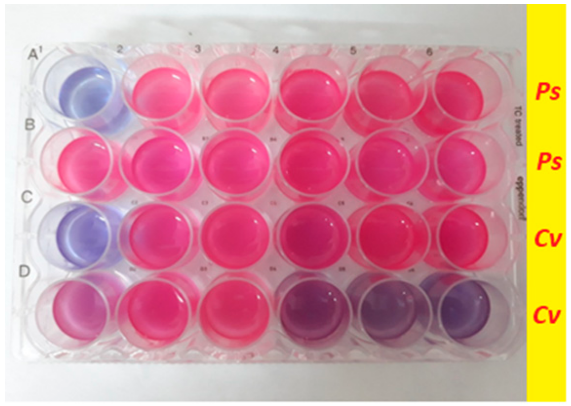 Water 14 00607 g011 Water 14 00607 g011