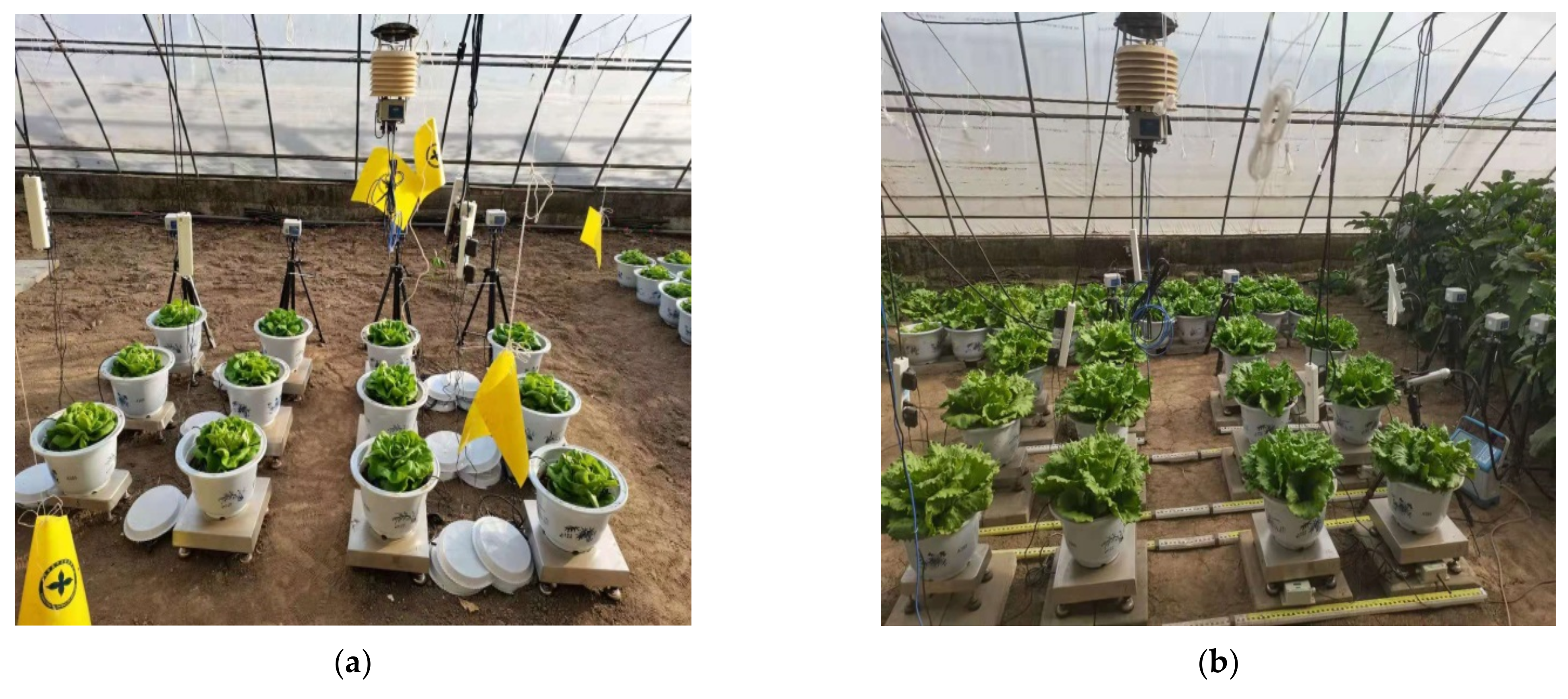 Water 14 00673 g002 550