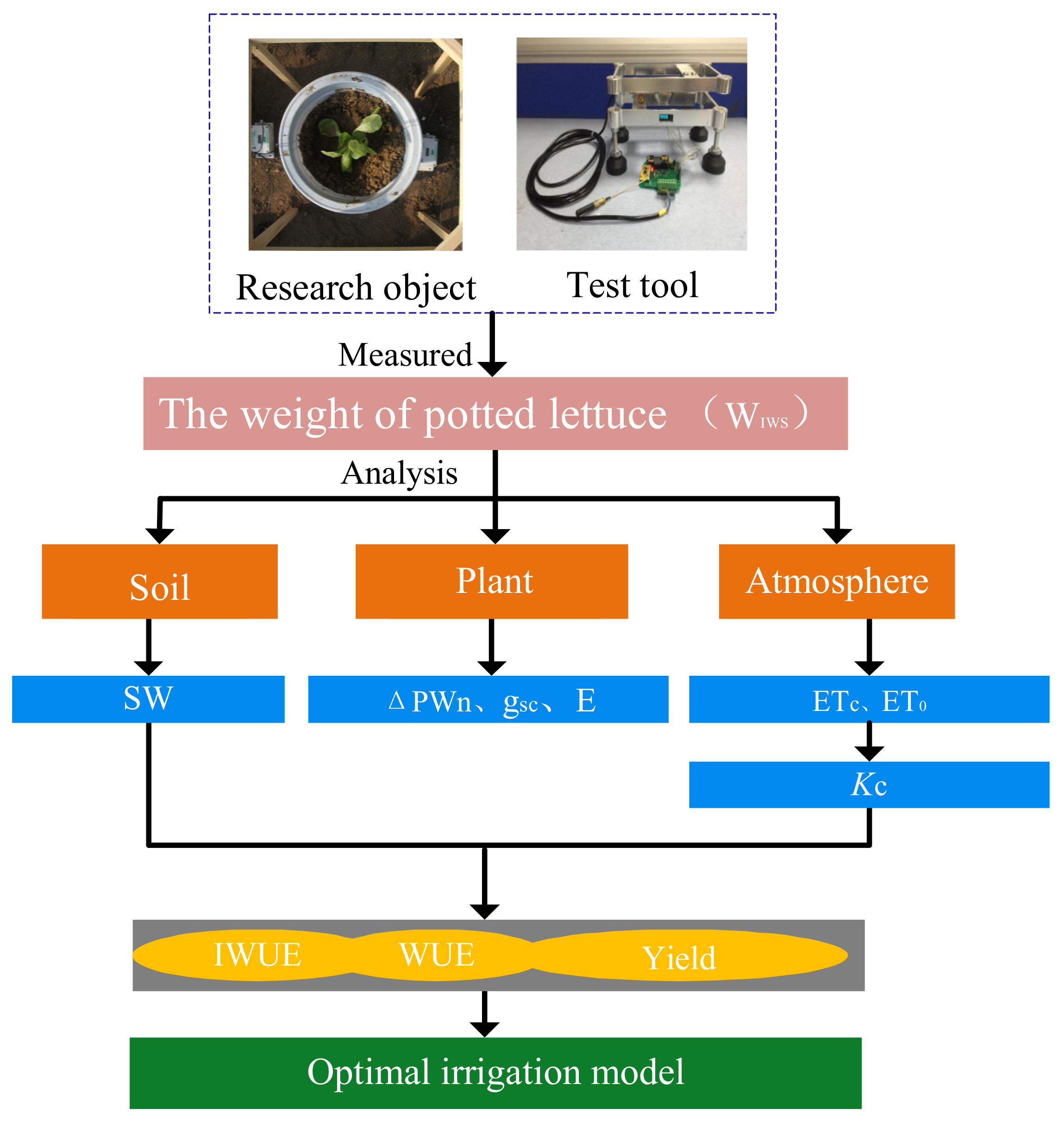 Water 14 00673 g003 550