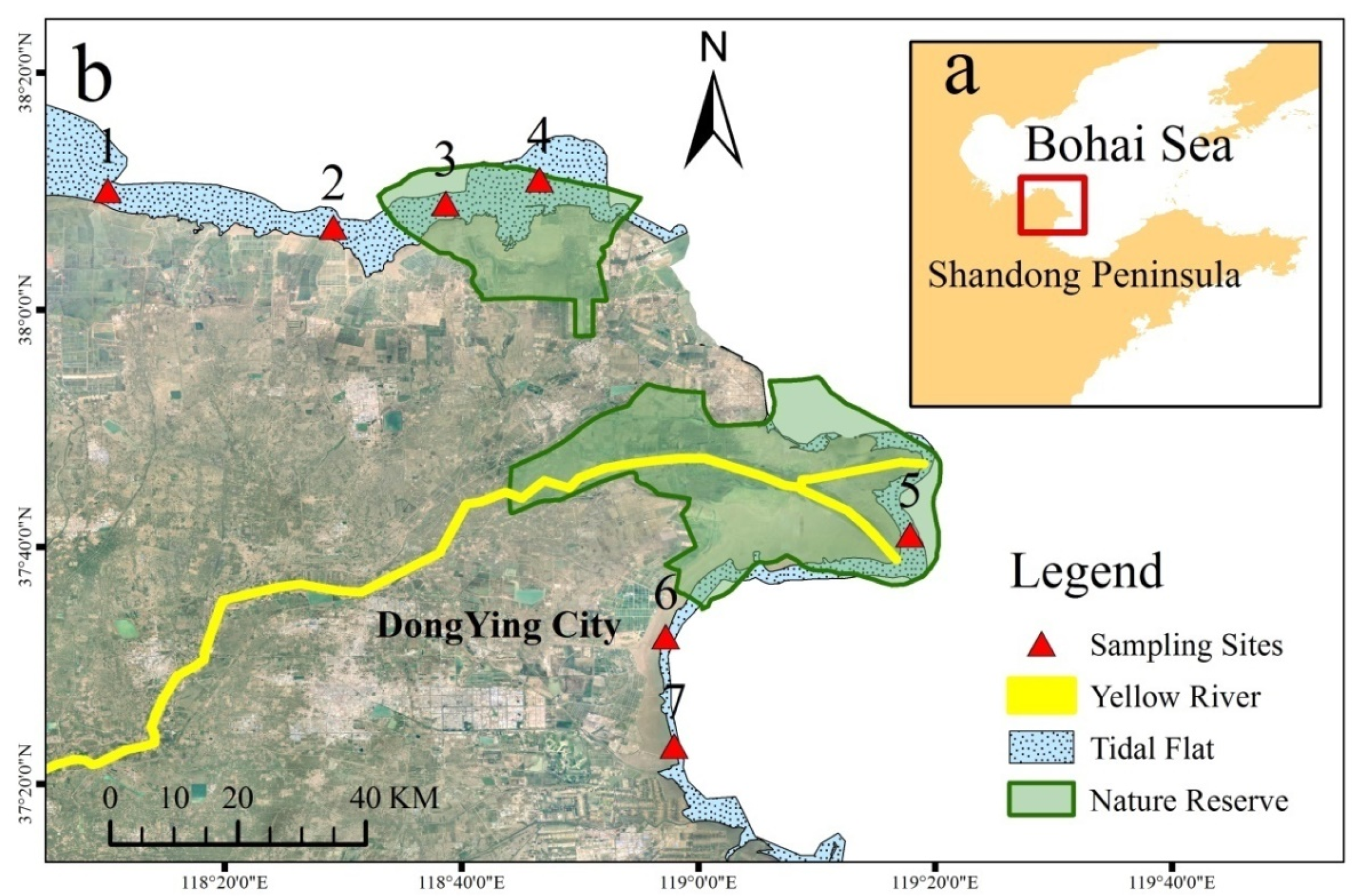 Water 14 00713 g001 550