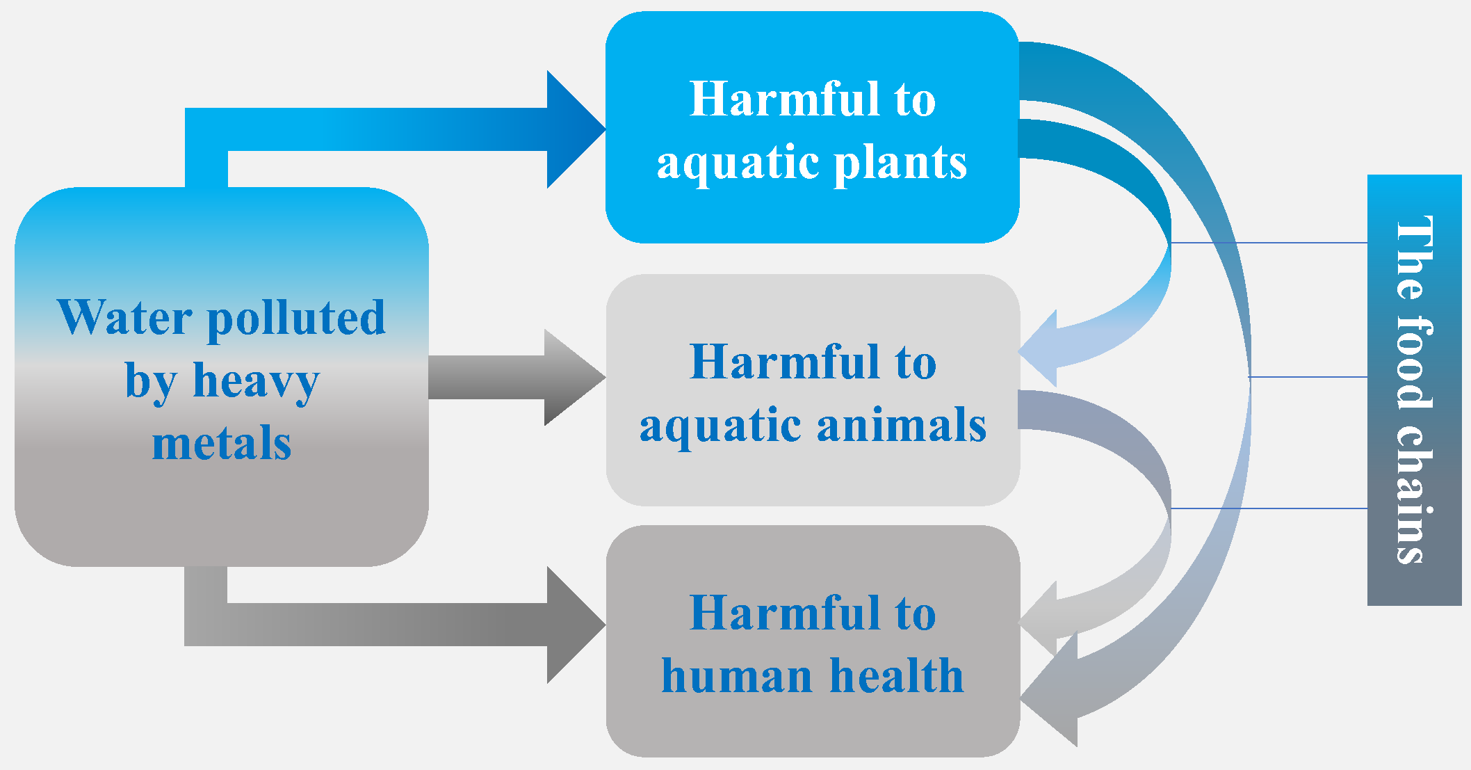 Water Free FullText Wastewater Treatment in Mineral Processing of