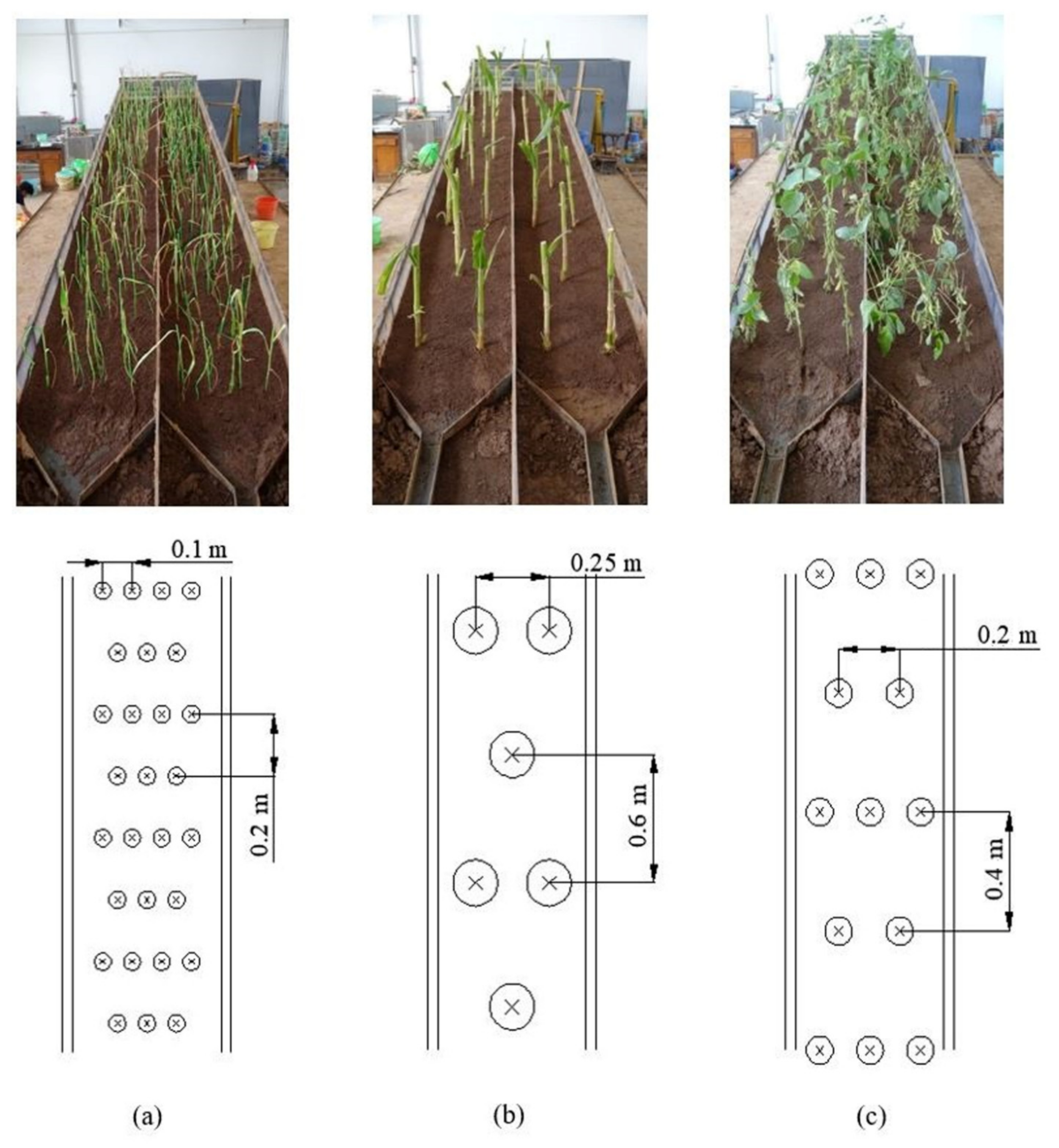 Water 14 00772 g002 550