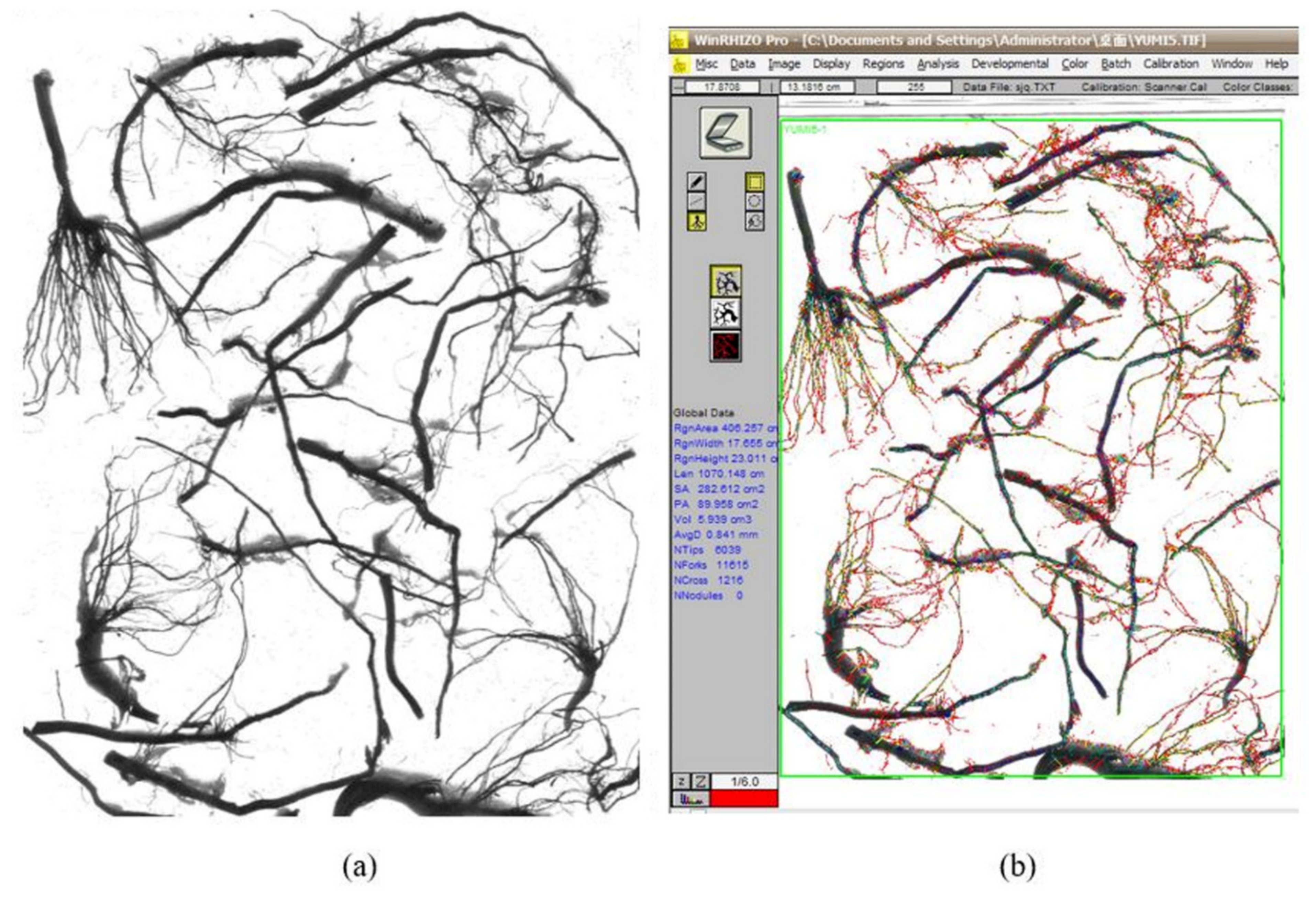 Water 14 00772 g003 550