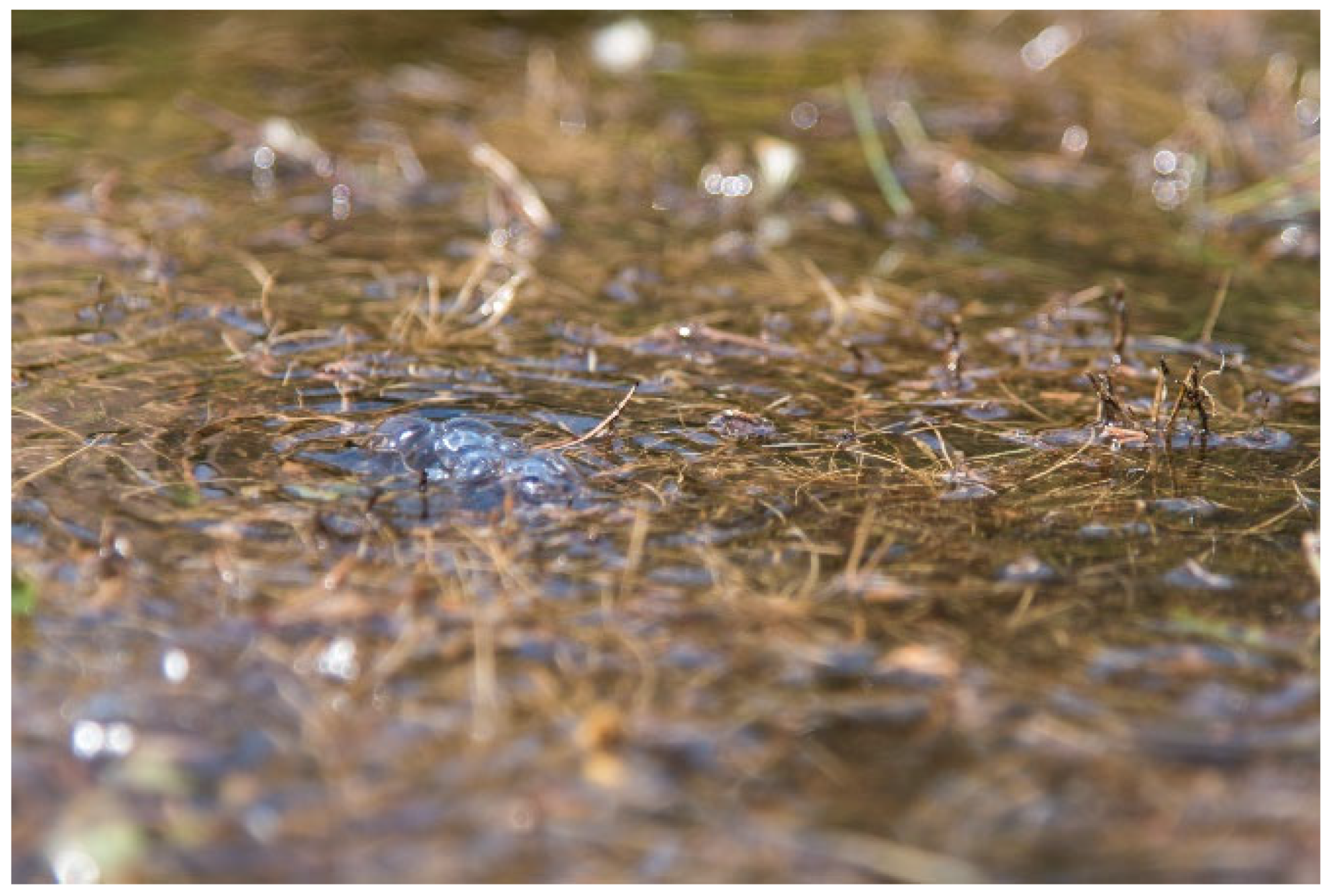 Water 14 00840 g012 550