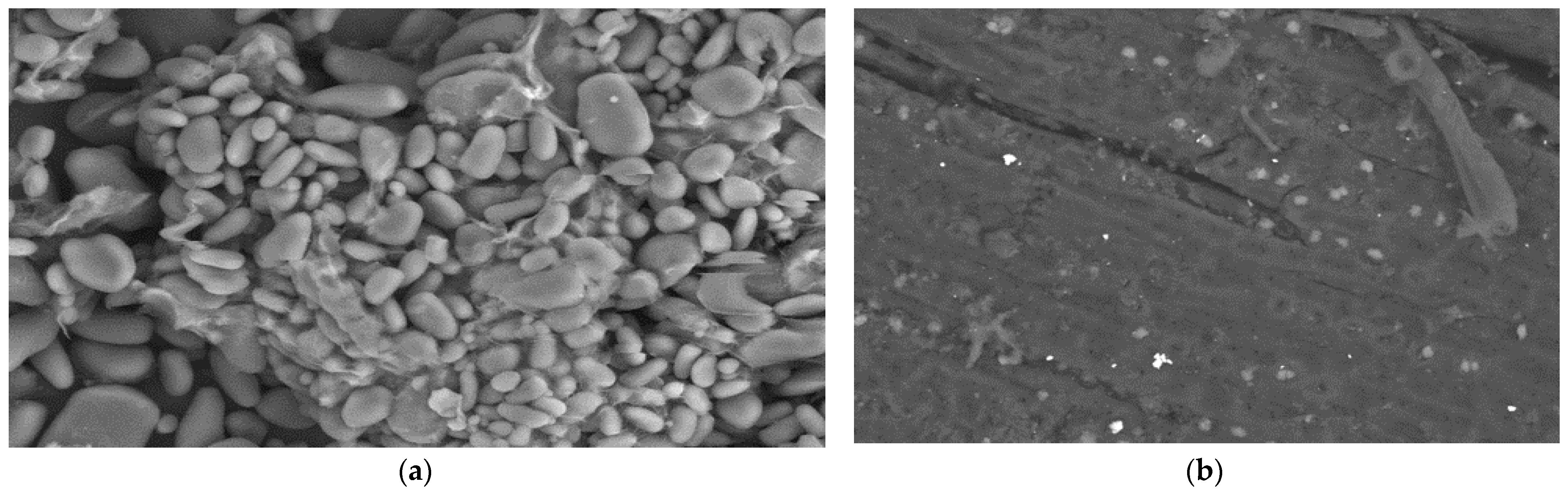 Water 14 00844 g001 550