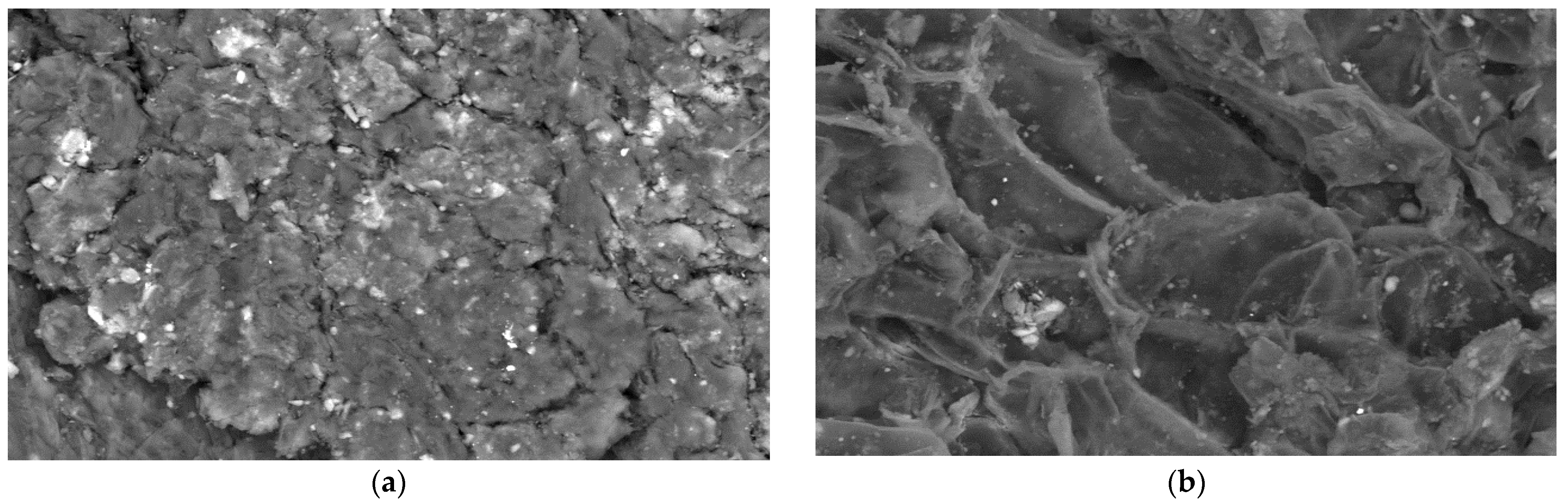 Water 14 00844 g002 550