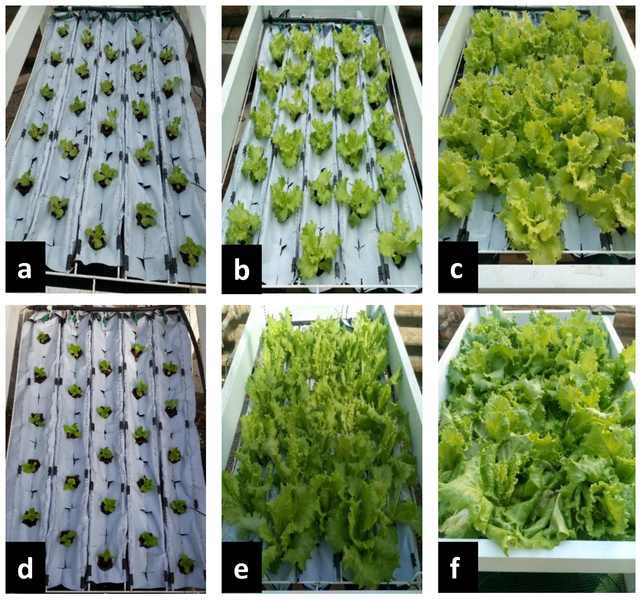 Water 14 00935 g001 550