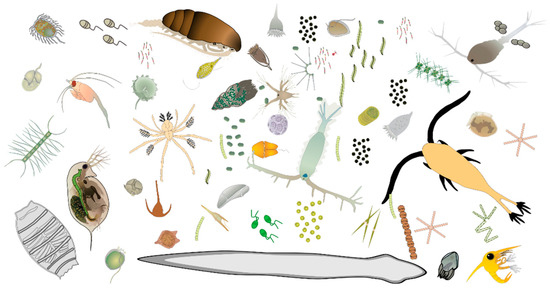 graphic_overview