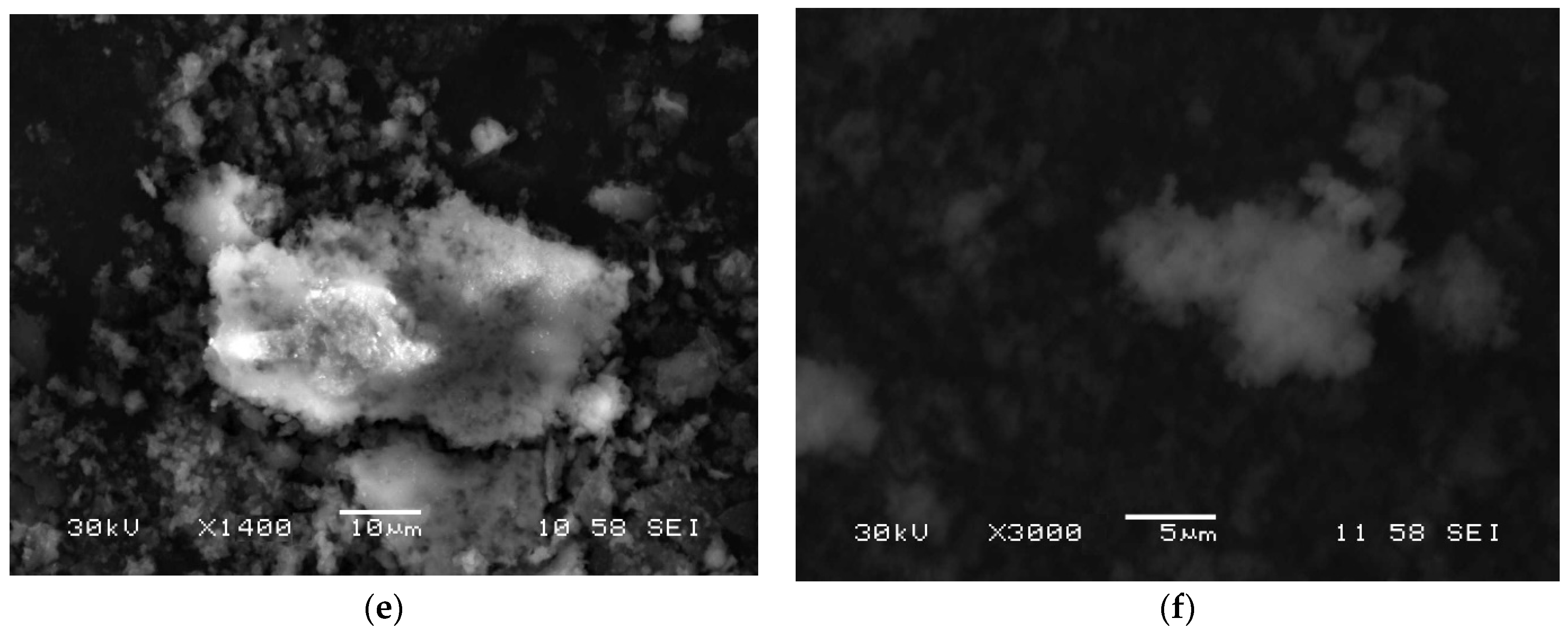 Water 14 00980 g002b 550