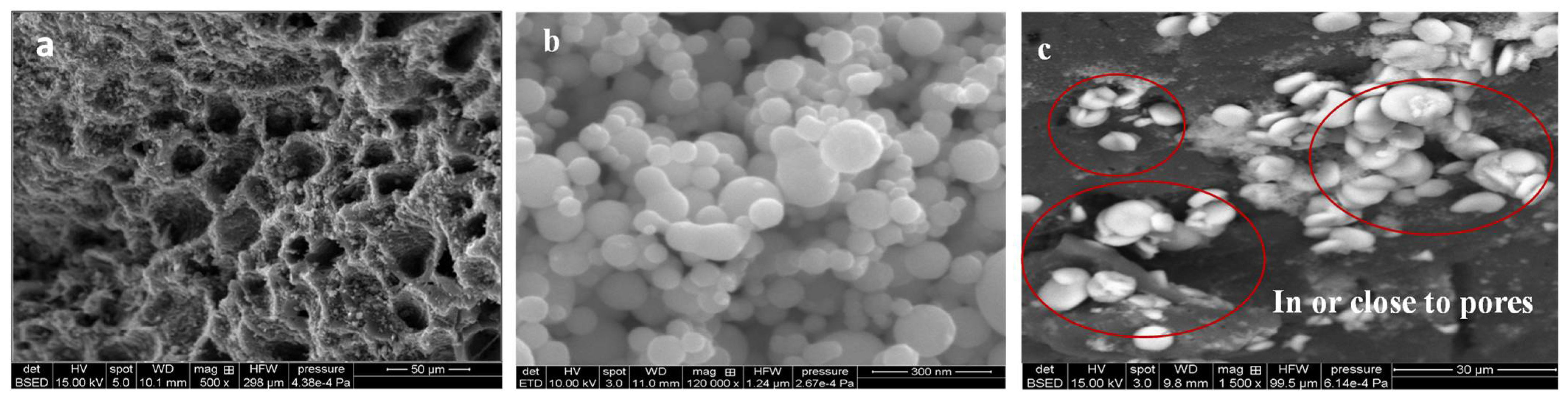 Water 14 00987 g001a