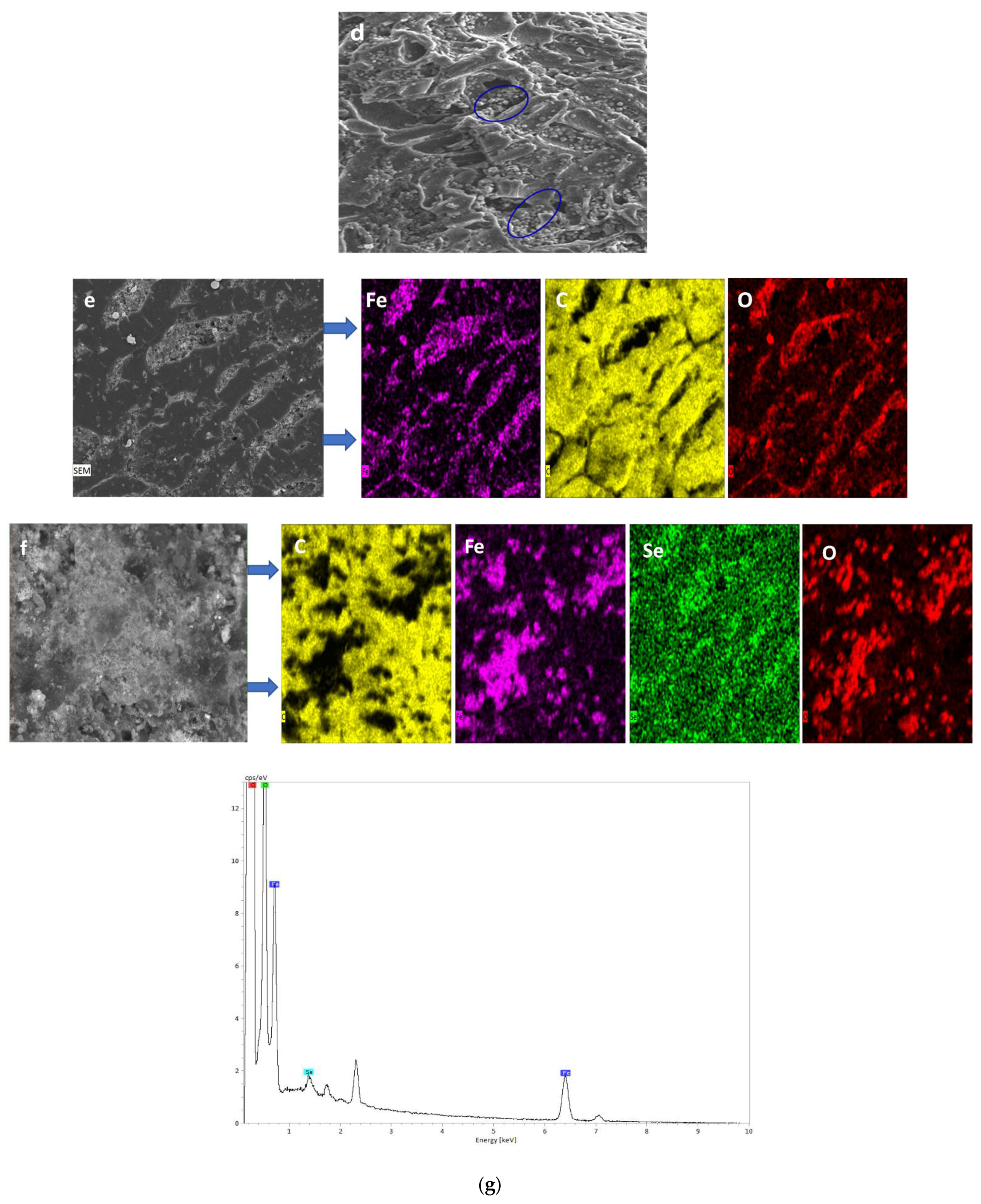 Water 14 00987 g001b