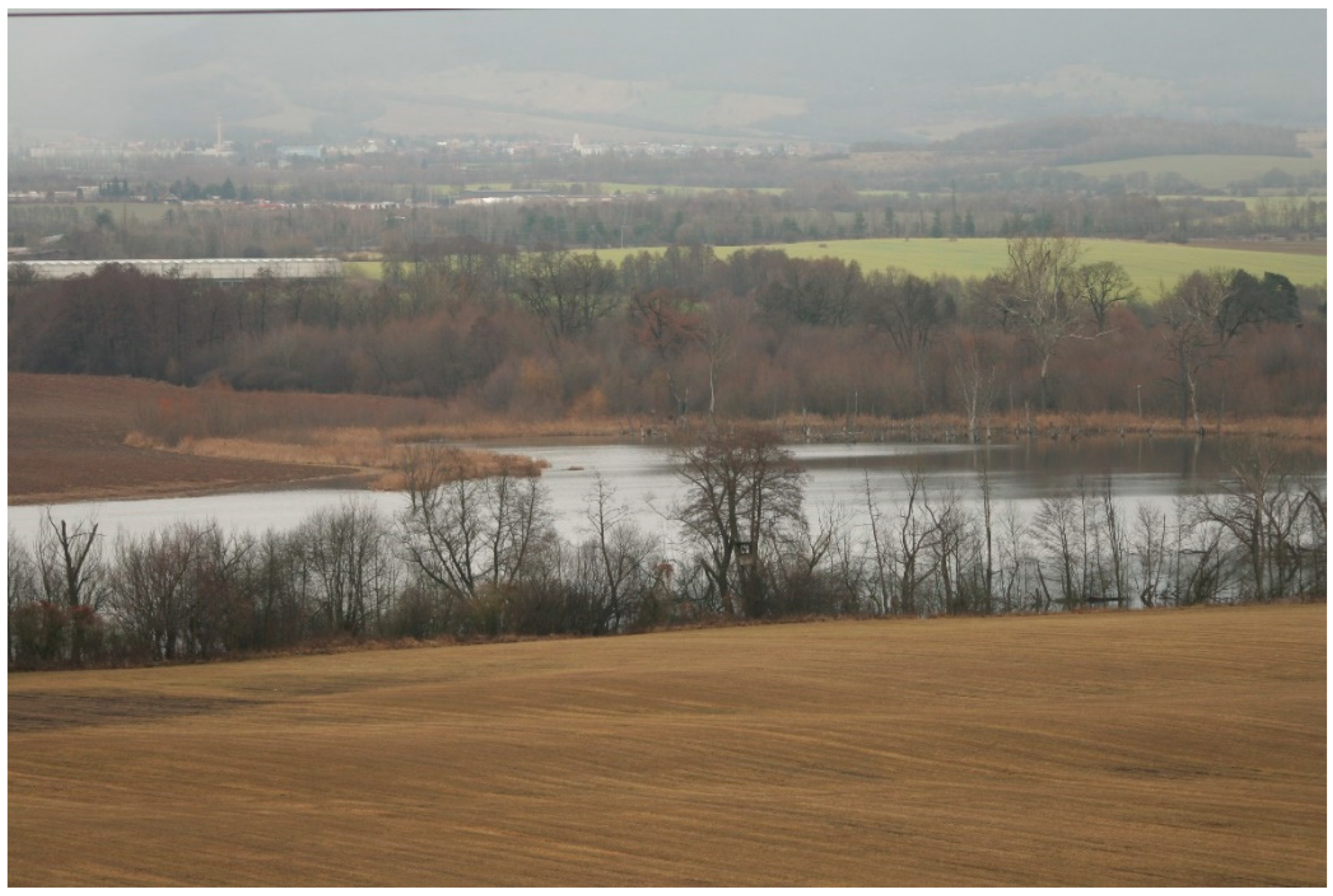 Water 14 00989 g006 Water 14 00989 g006