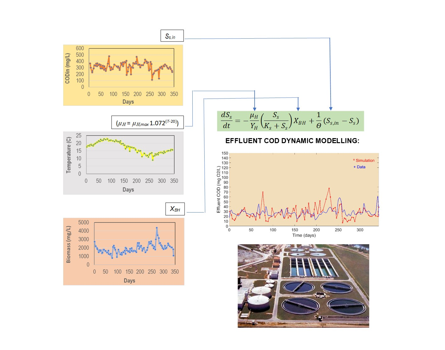 Asm1 Modello Water | Free Full-Text | A Comprehensive View of the ASM1 Dynamic Model ...