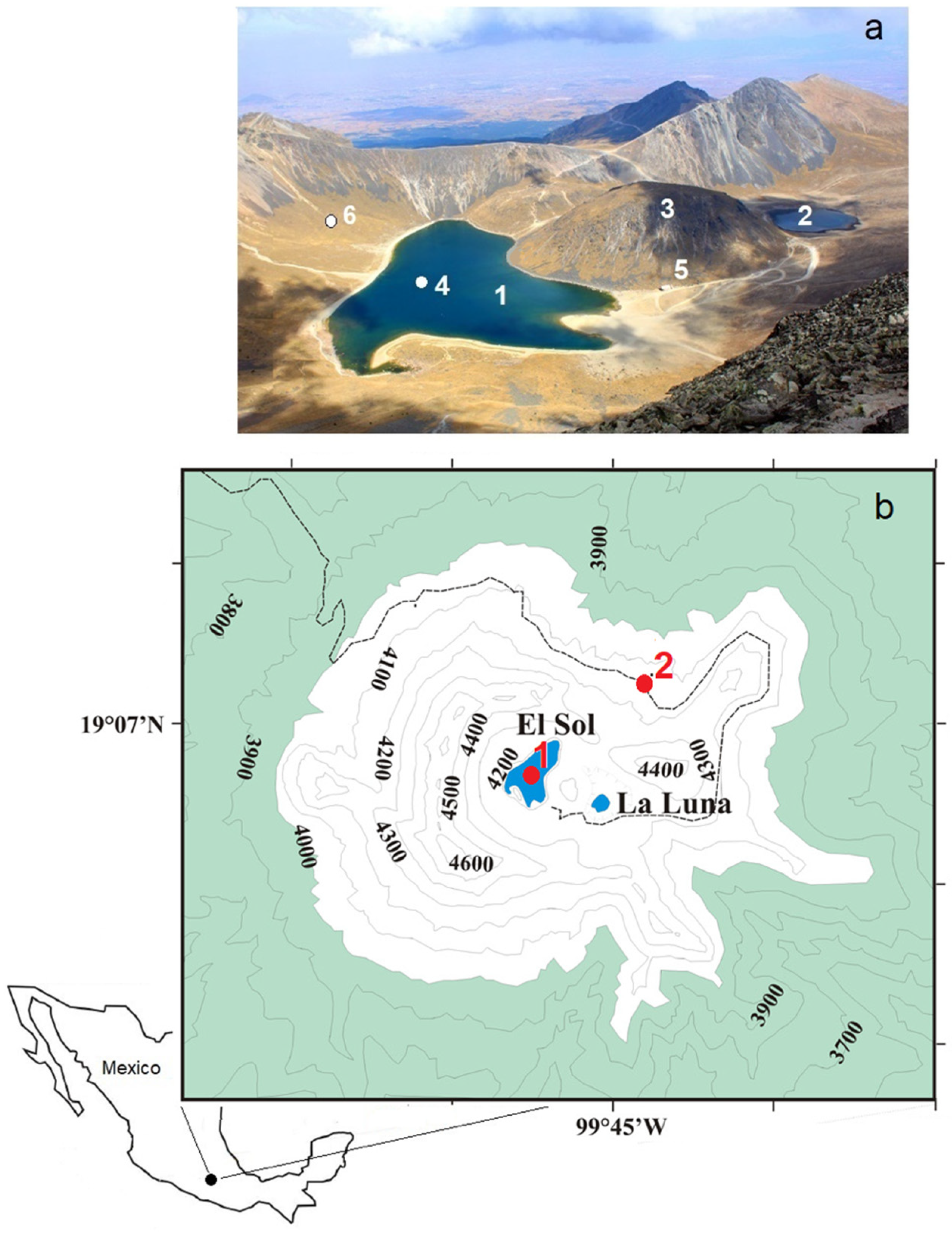 Water | Free Full-Text | Thermal Regime and Water Balance of Two Tropical  High-Mountain Lakes in the Nevado de Toluca Volcano, Mexico | HTML