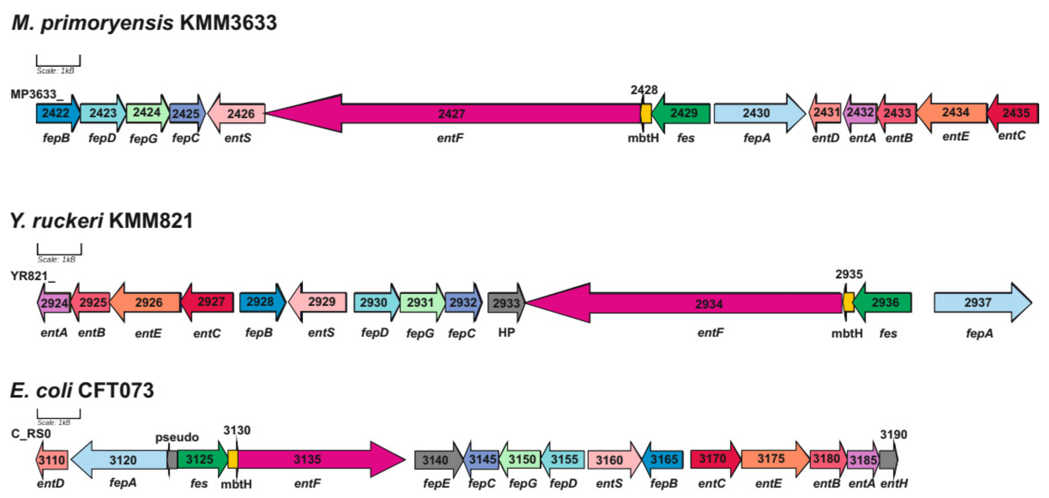 Water 14 01107 g002 Water 14 01107 g002