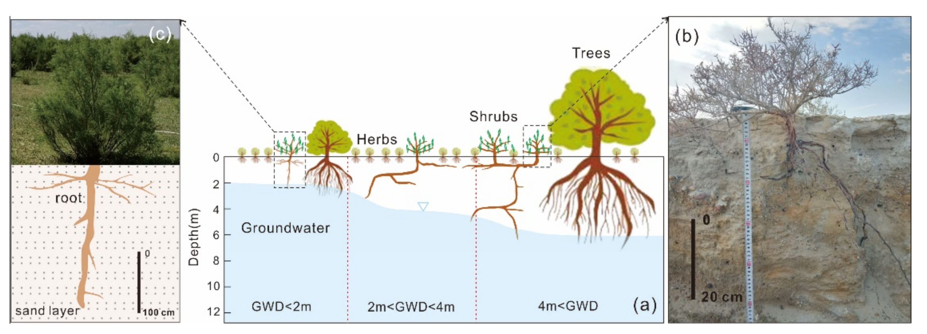 Water 14 01116 g001 550