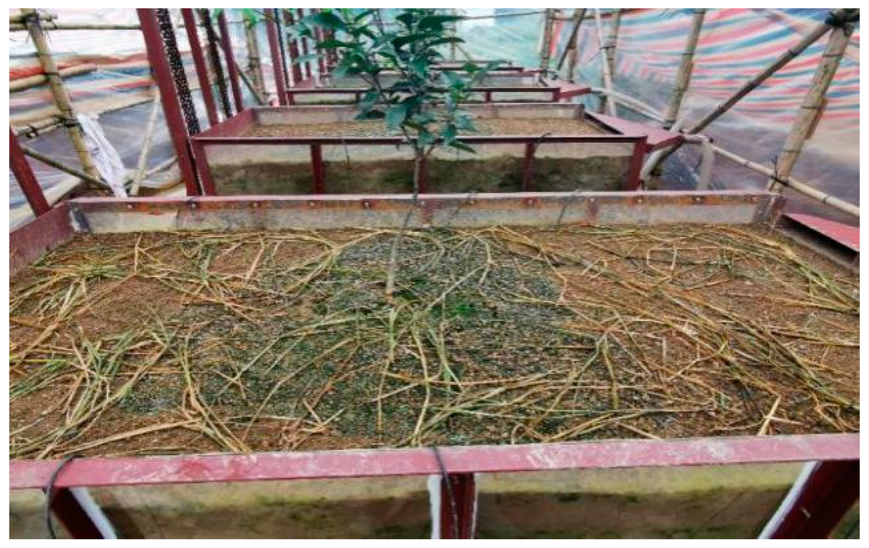 Water 14 01119 g002 550