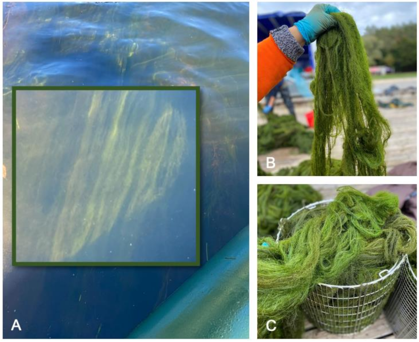 Water 14 01138 g001 550