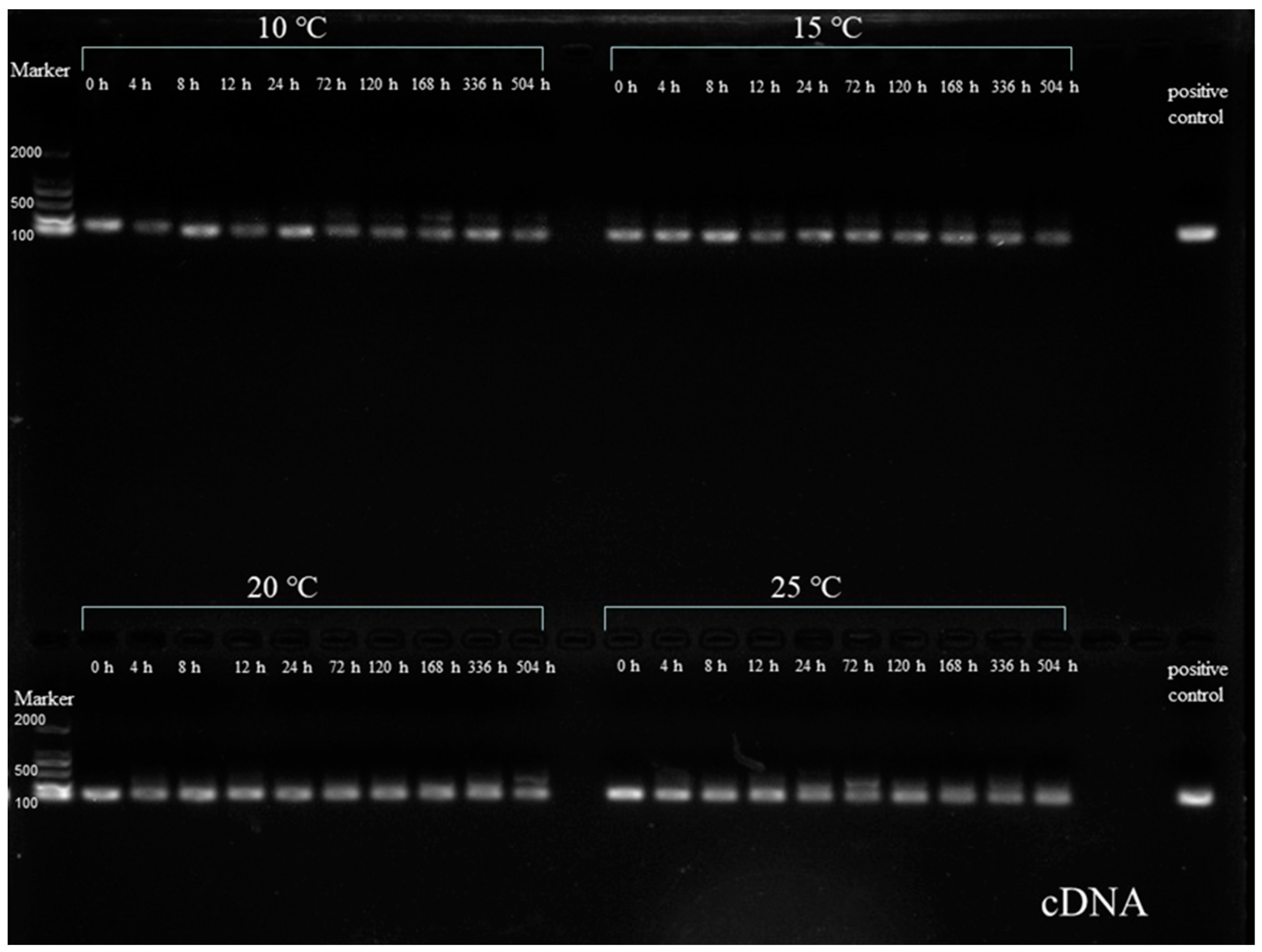 Water 14 01155 g002 550