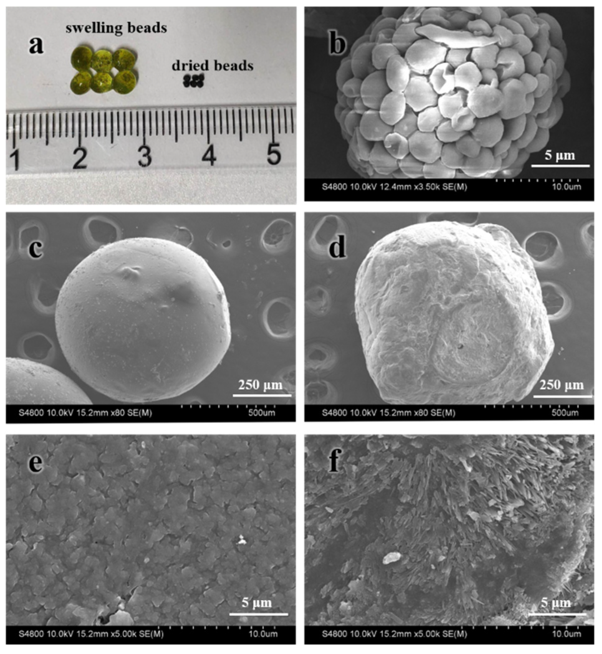 Water 14 01190 g003 550