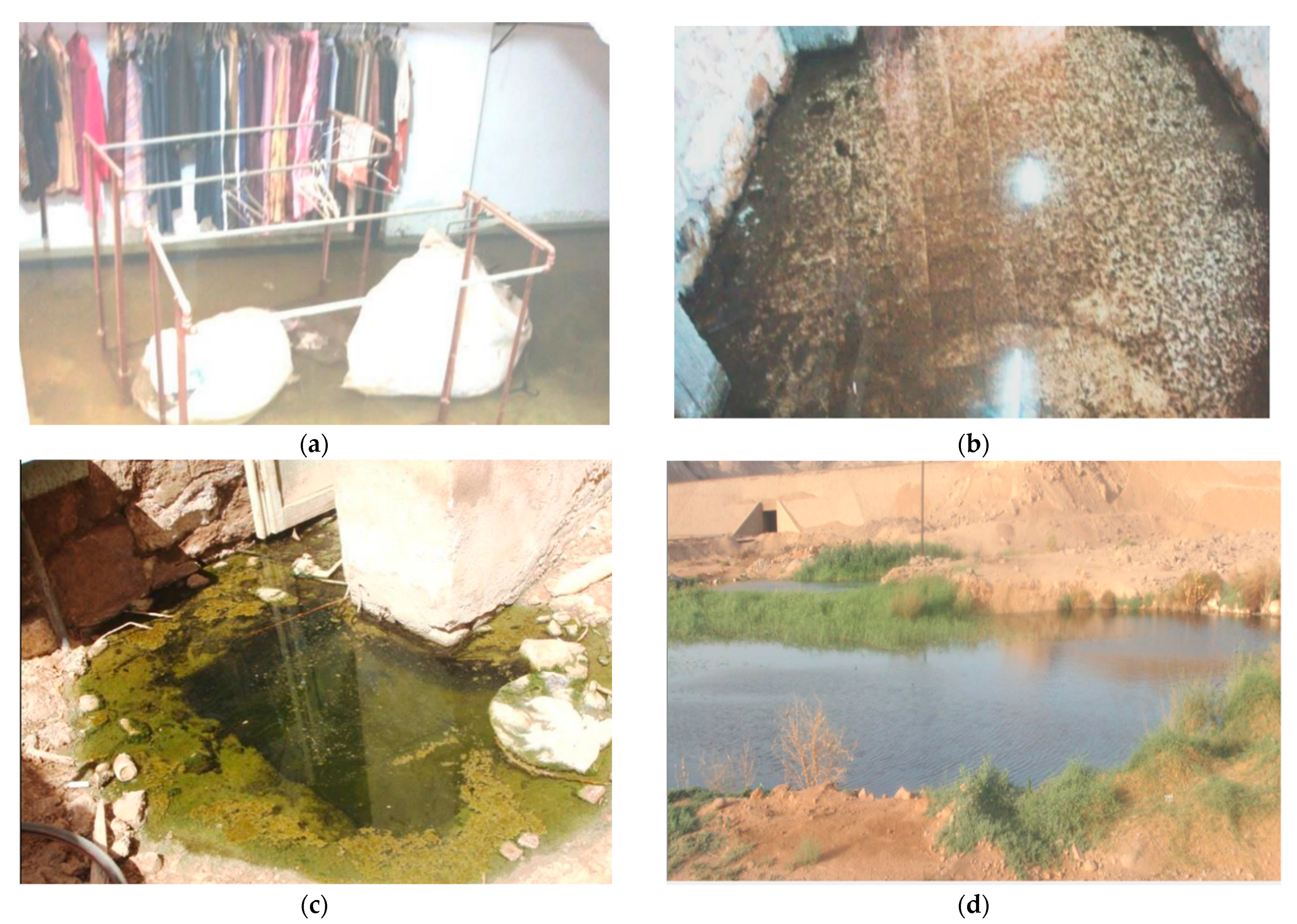 Water 14 01233 g001 550