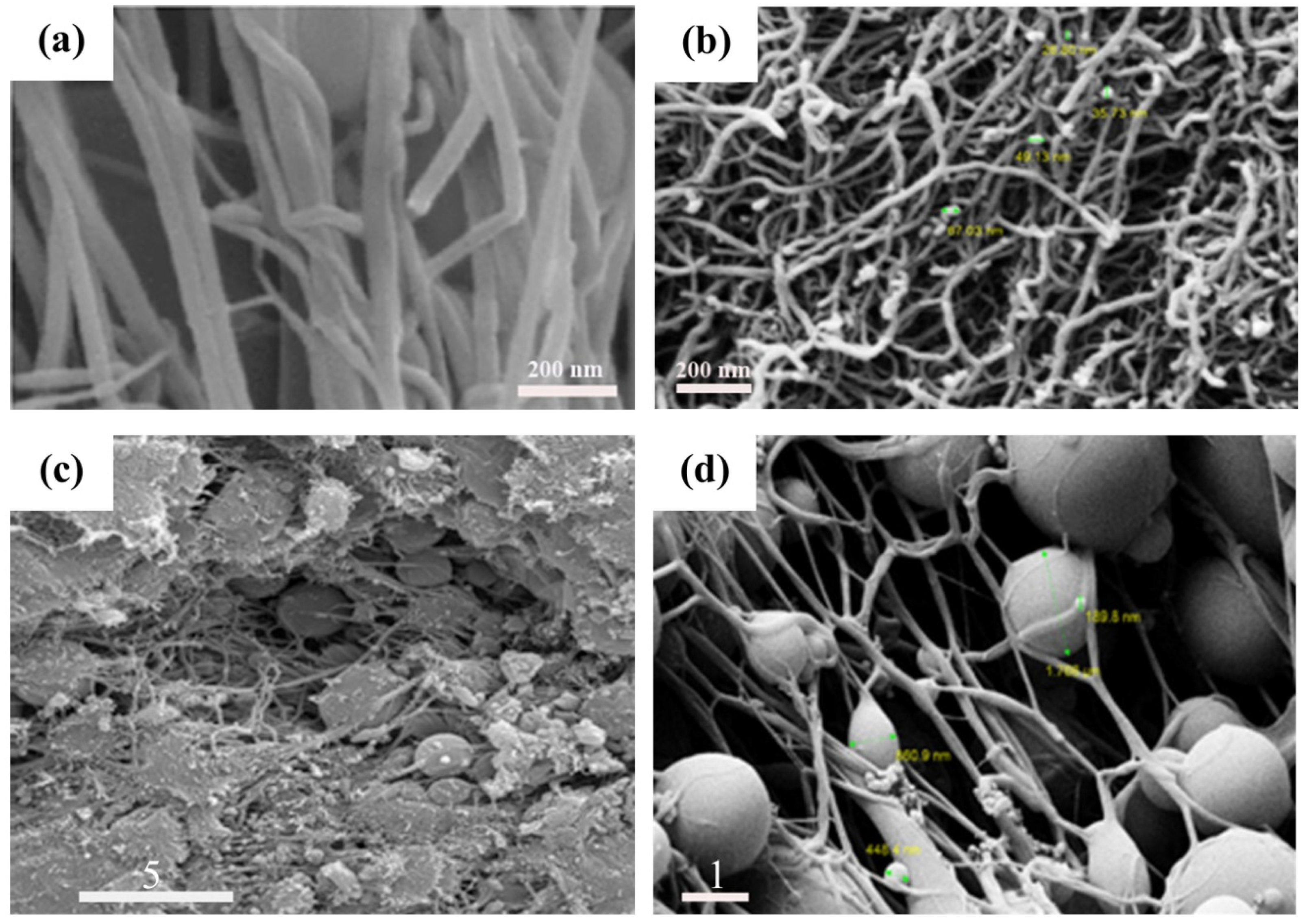 Water 14 01242 g001 550