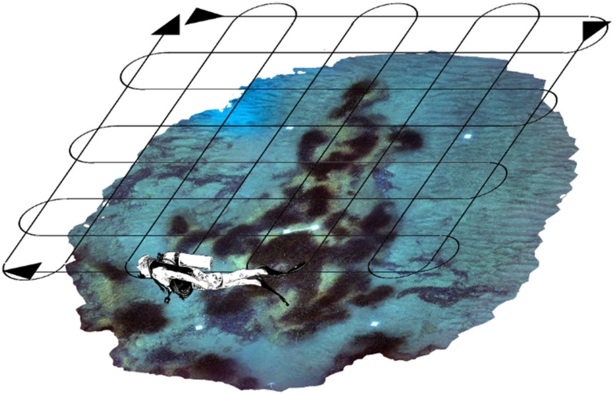 Water 14 01285 g006 550