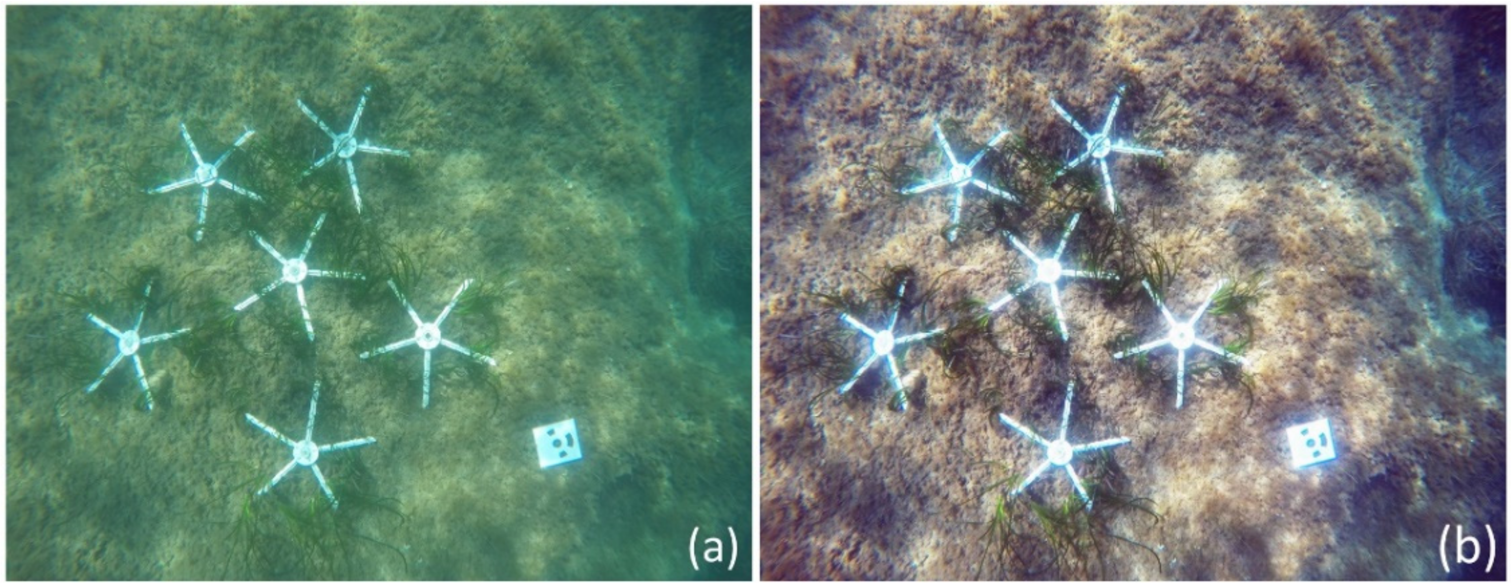 Water 14 01285 g008 550