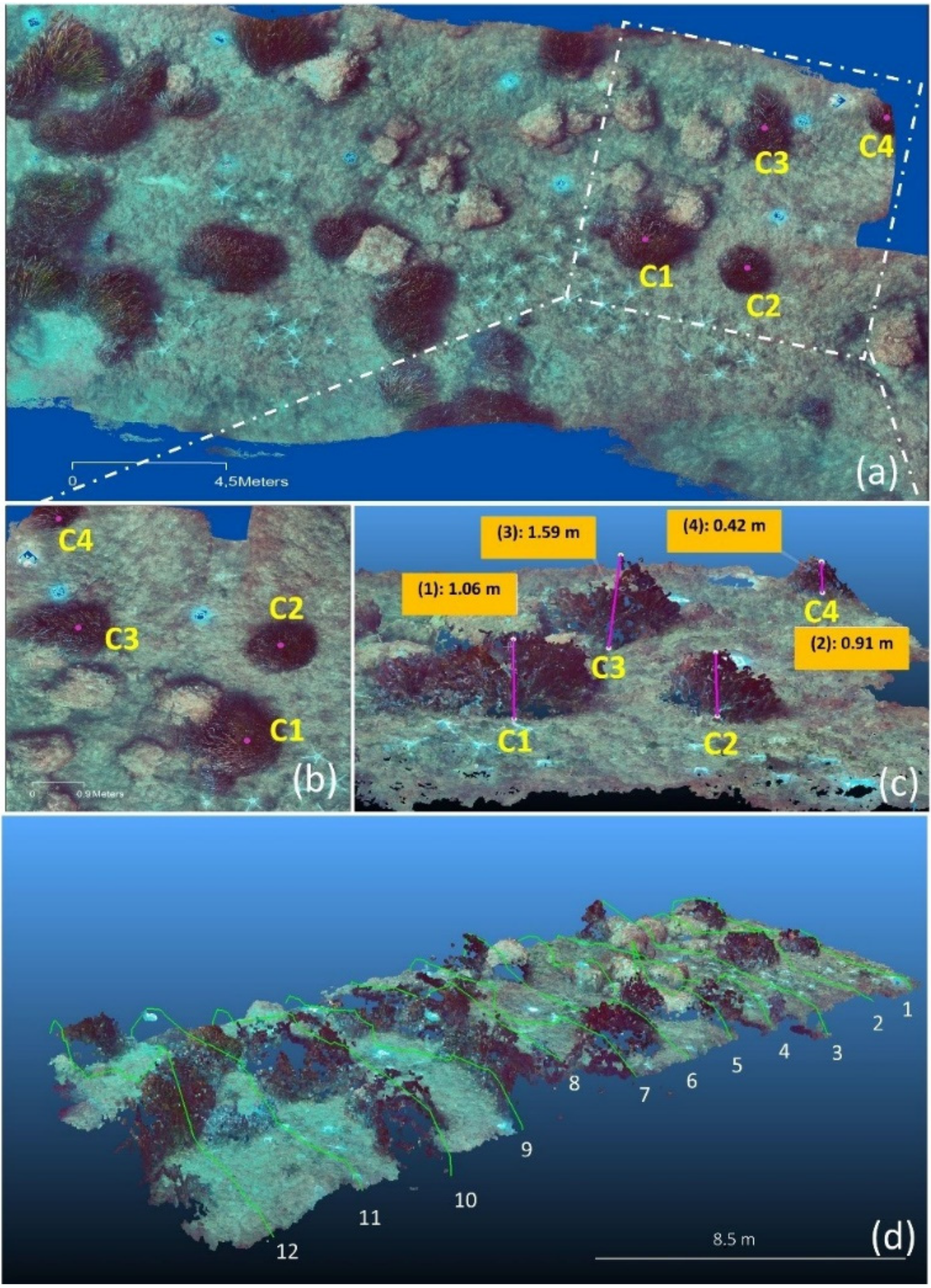 Water 14 01285 g014 550