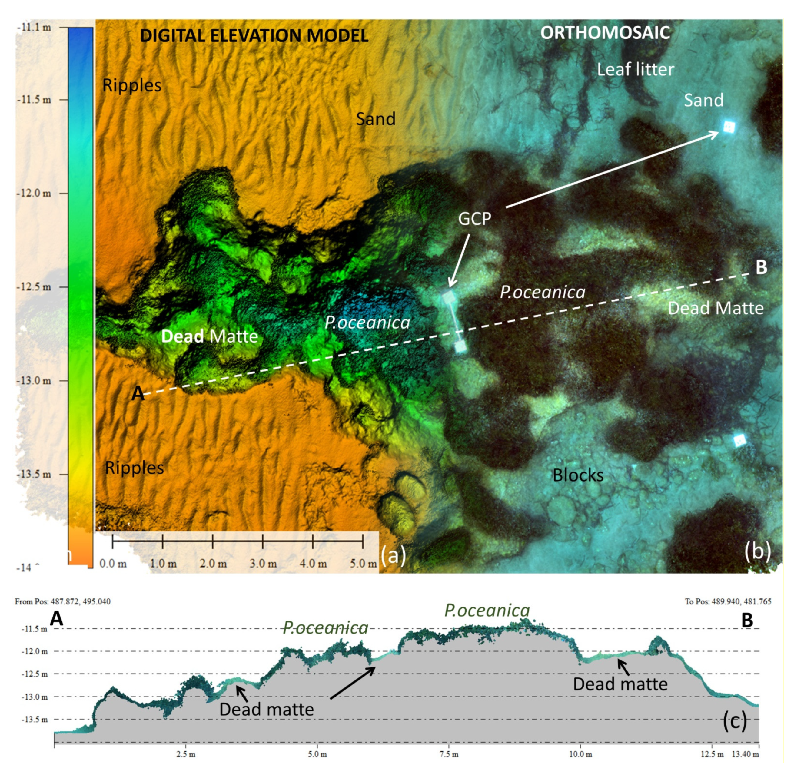 Water 14 01285 g015 550