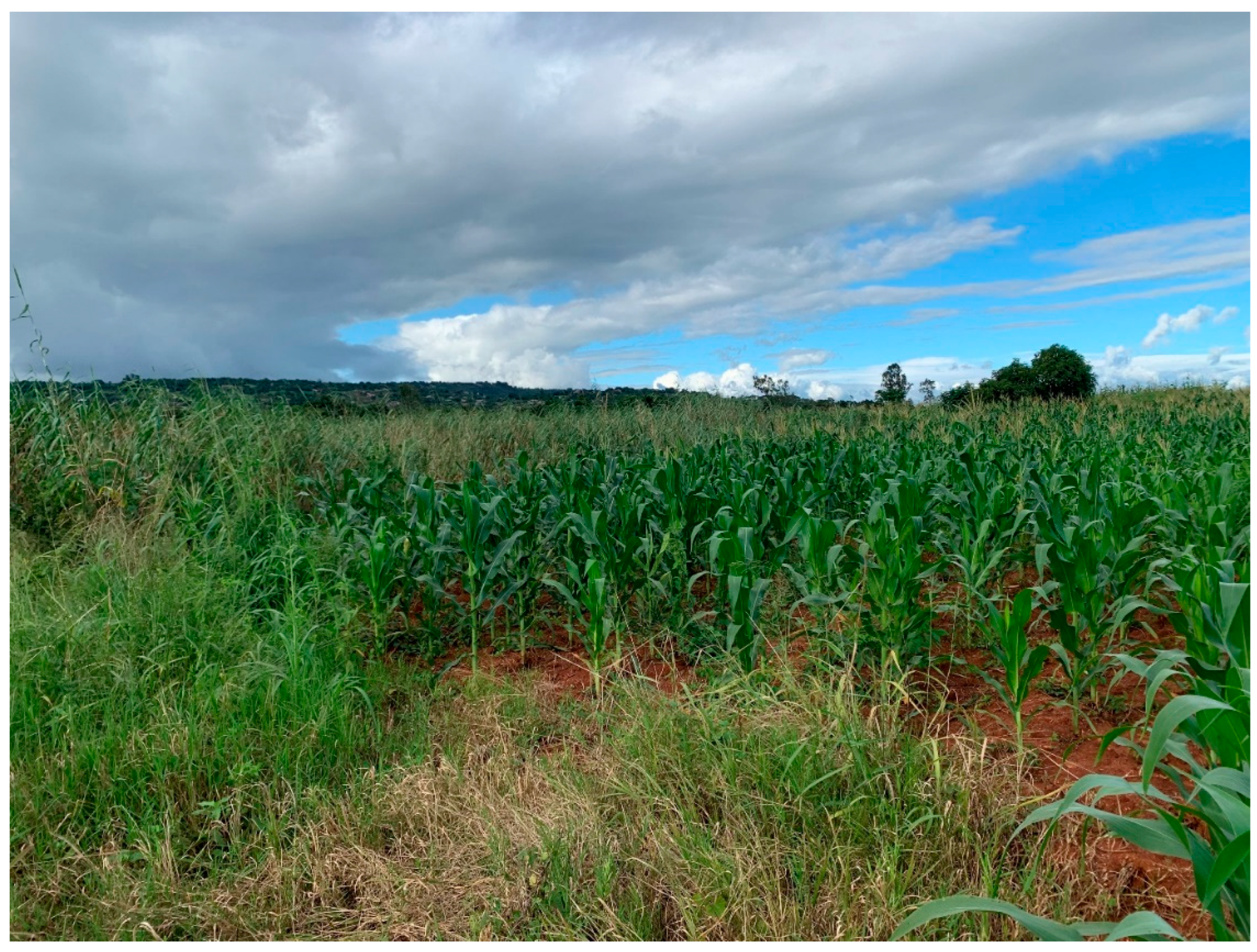 Water 14 01290 g003 550