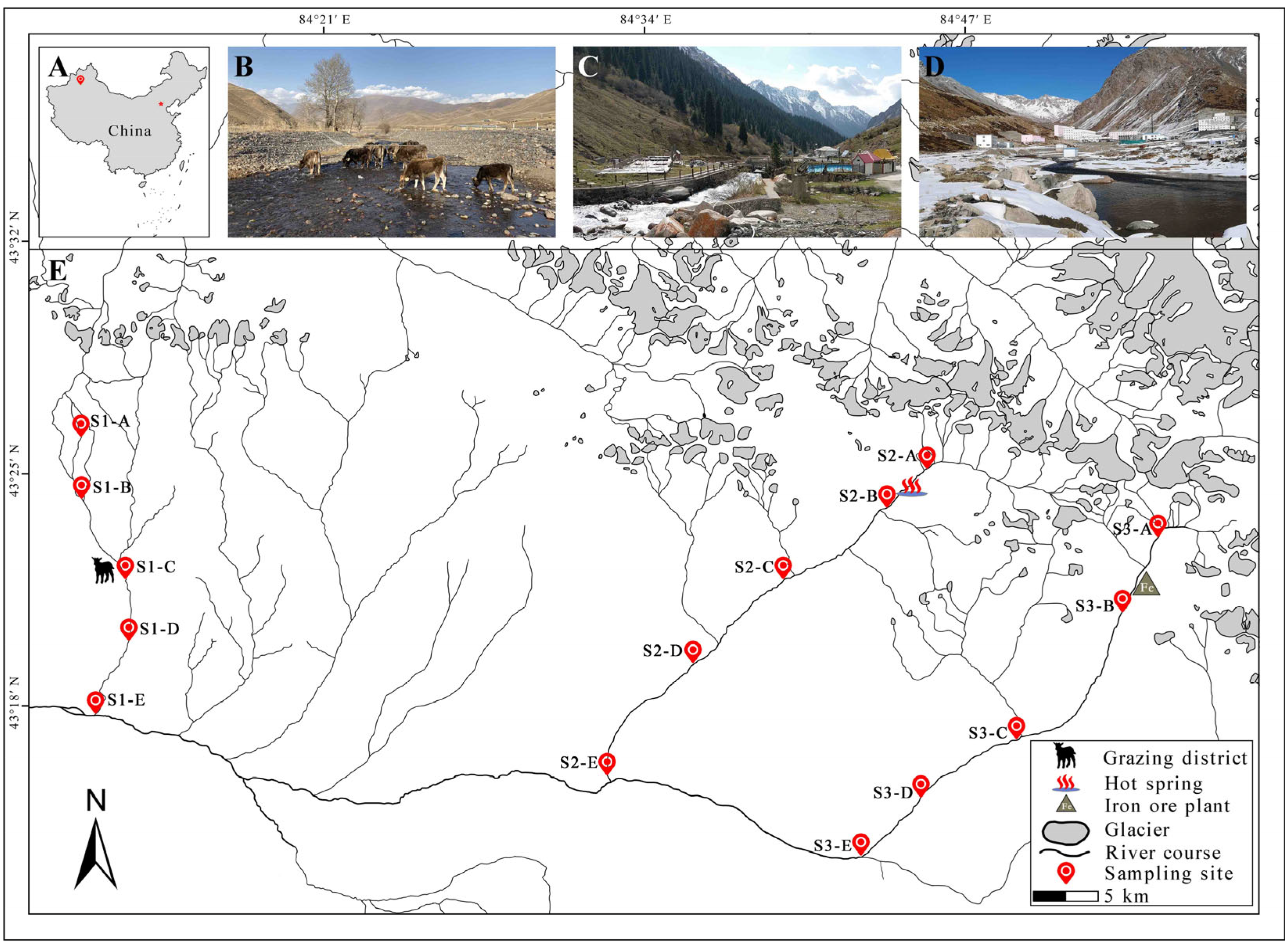 PDF) Spatial modelling of temporal dynamics in stream fish communities  under anthropogenic change