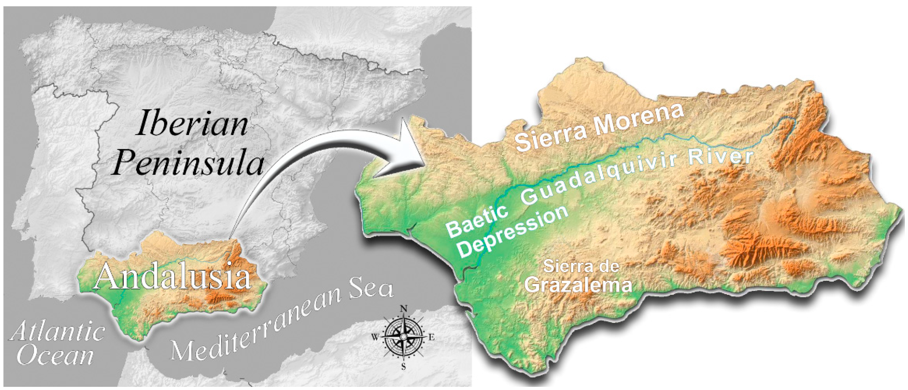 Water 14 01303 g001 550