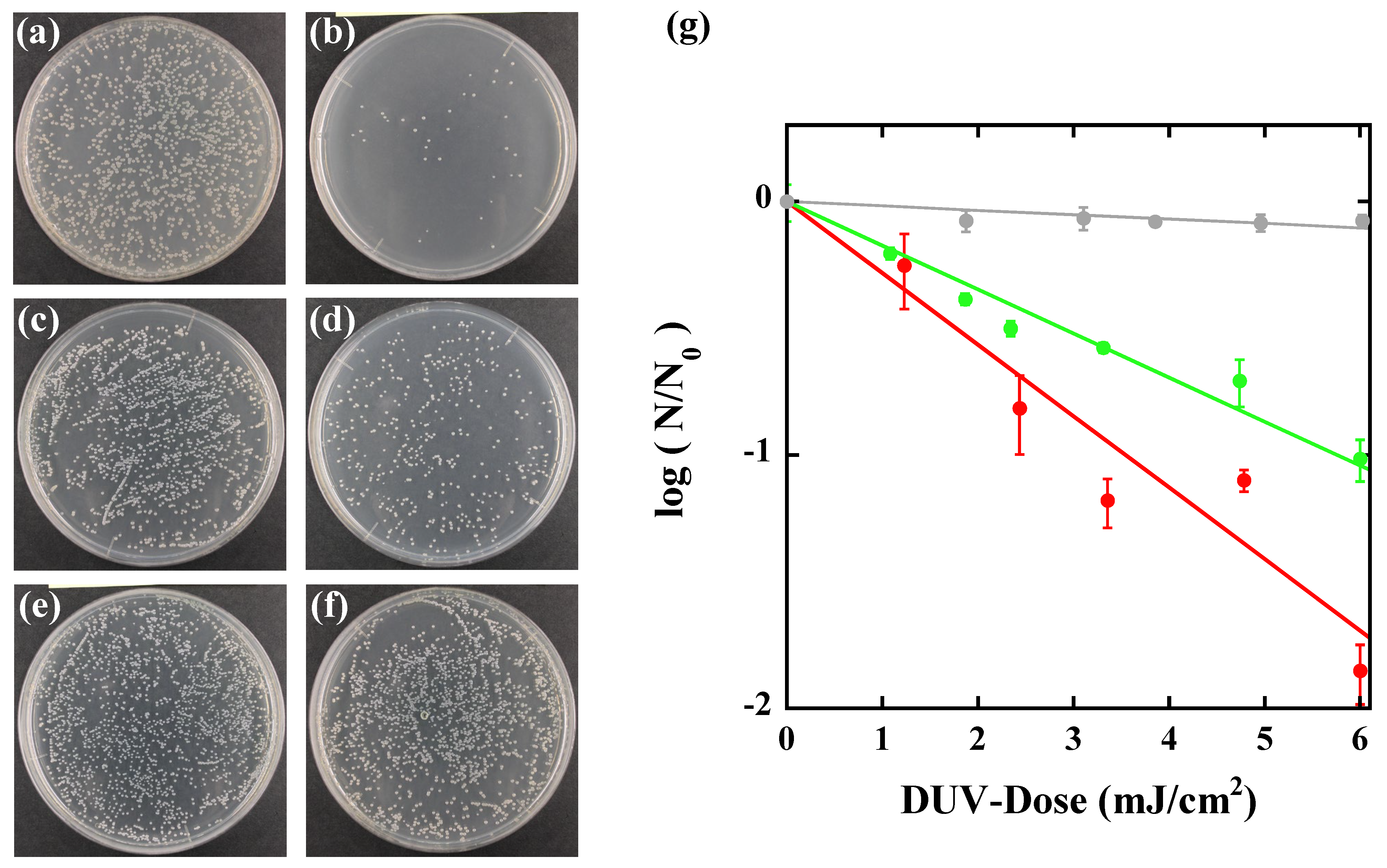 Water 14 01394 g005 550