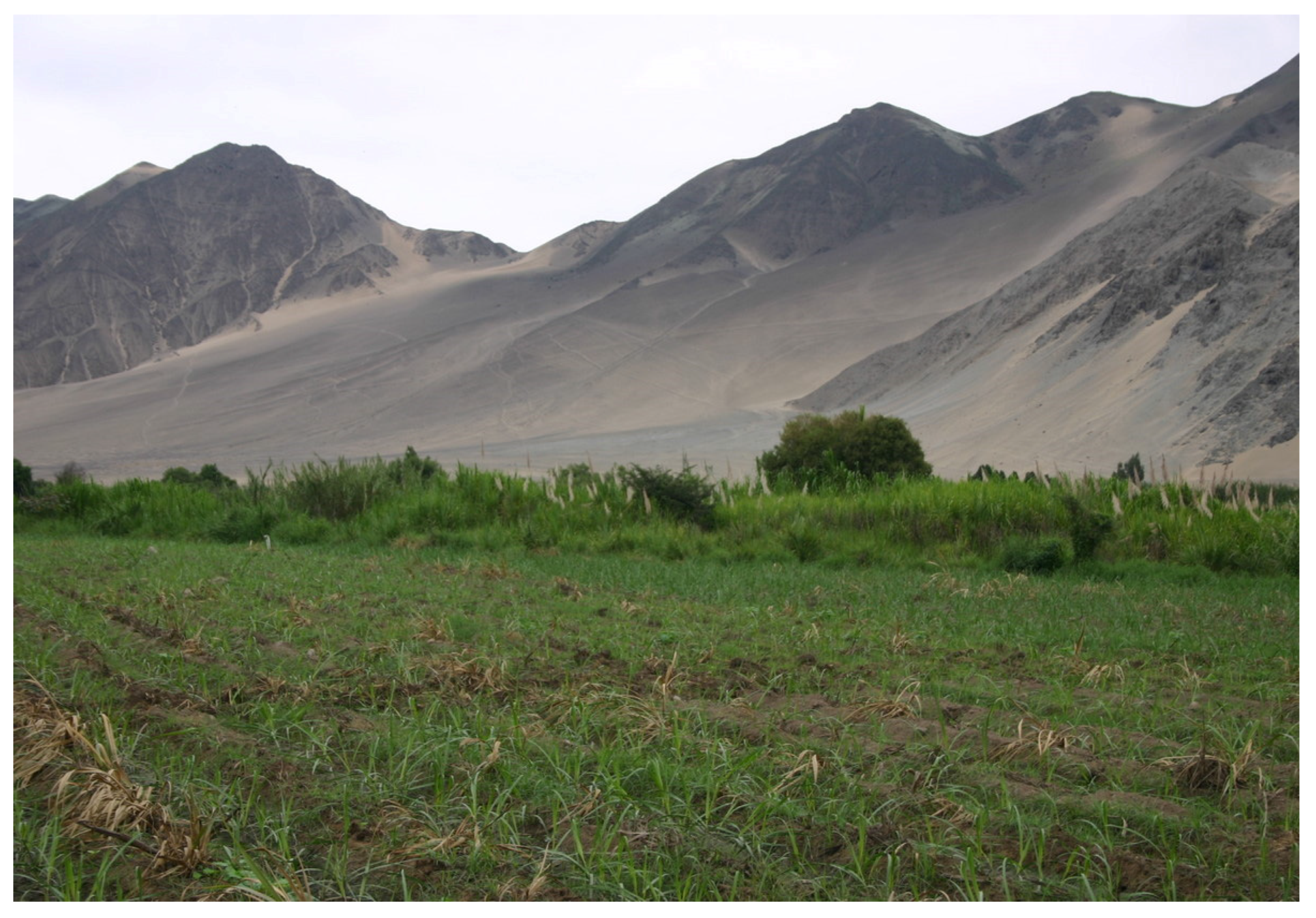 Water 14 01403 g007 550