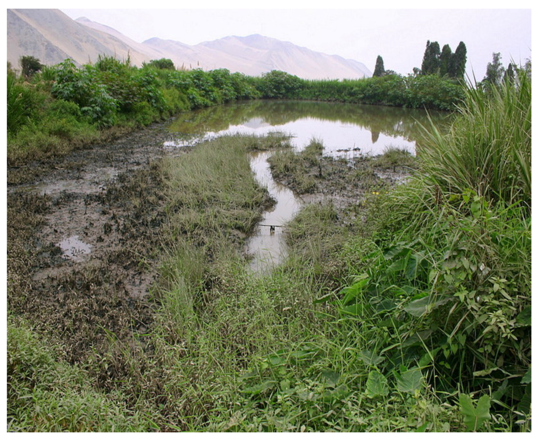 Water 14 01403 g010 550