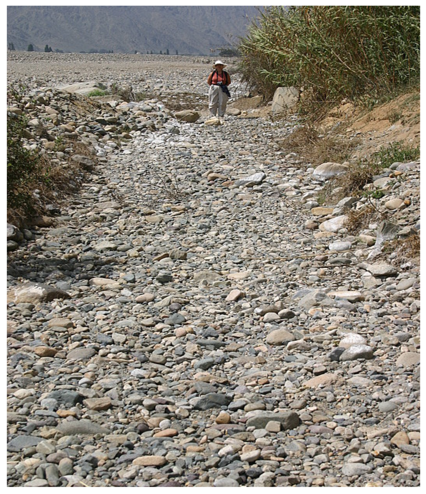 Water 14 01403 g014 550