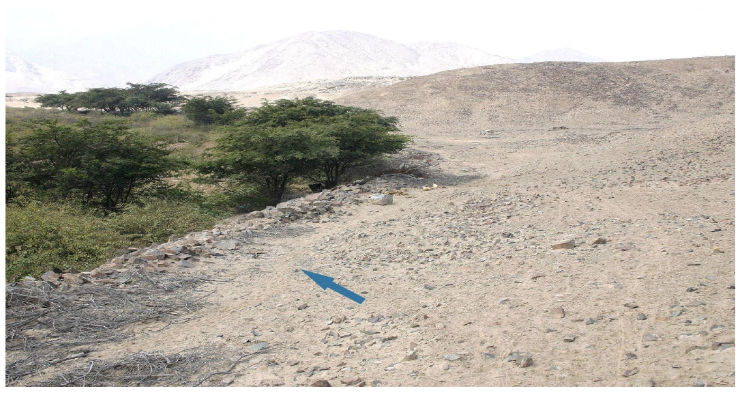 Water 14 01403 g016 550