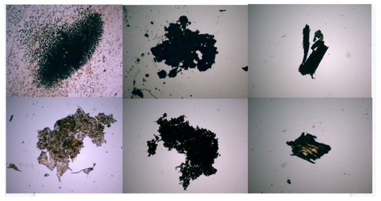 その他 The Only Way [CD] Occurrence of Microplastics from Plastic Fragments in