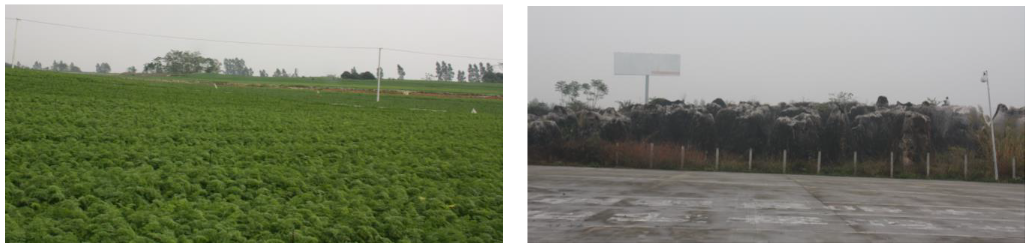 Water 14 01432 g004 550