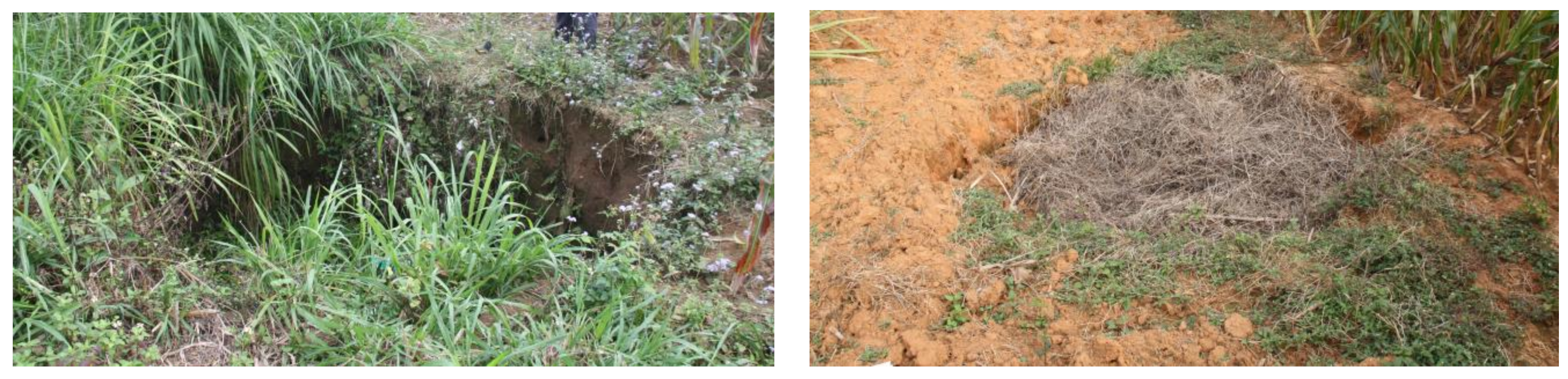 Water 14 01432 g005 550